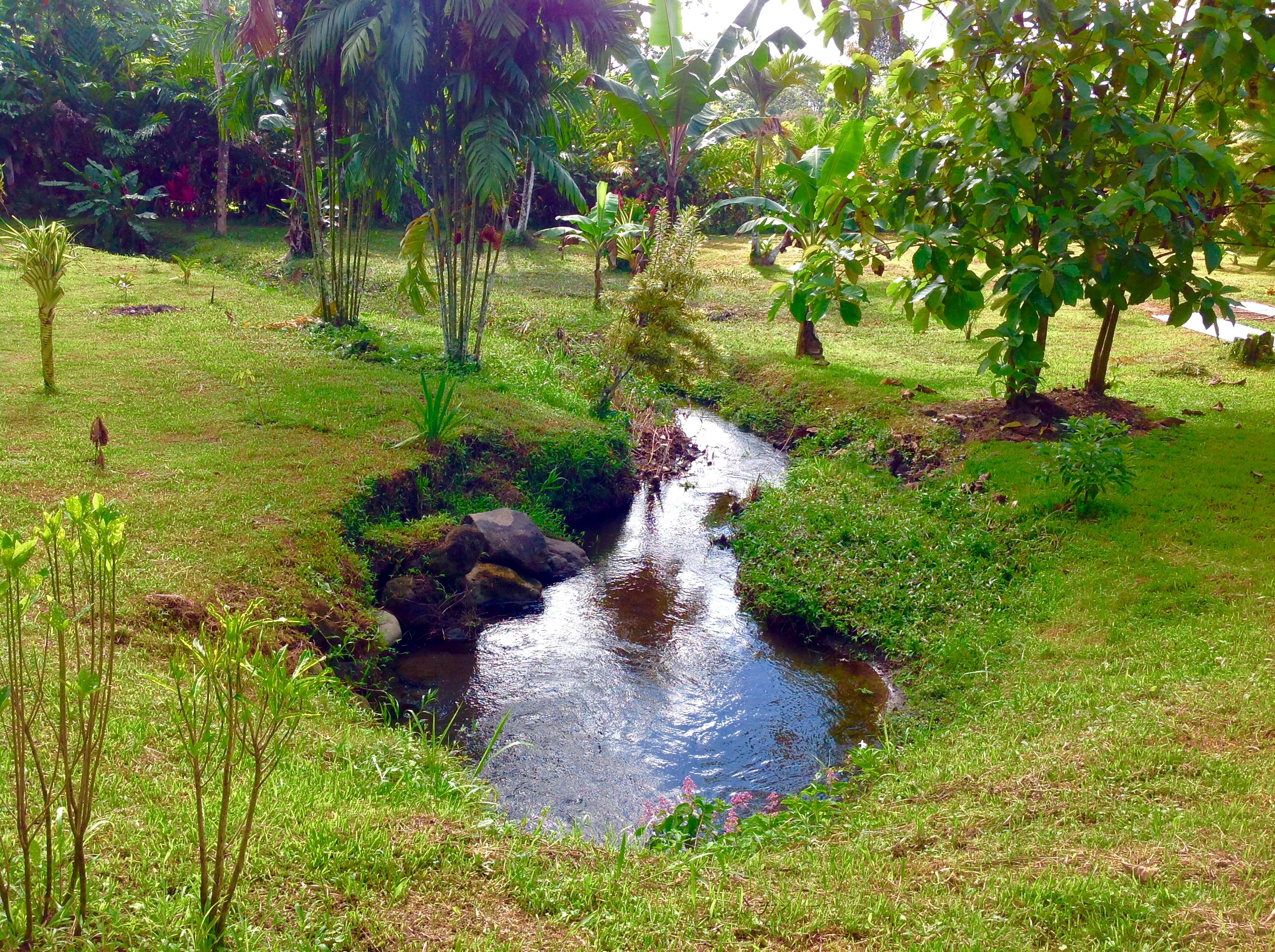 5 bed Single Family Homes For Sale in La Fortuna, Alajuela - thumb 8