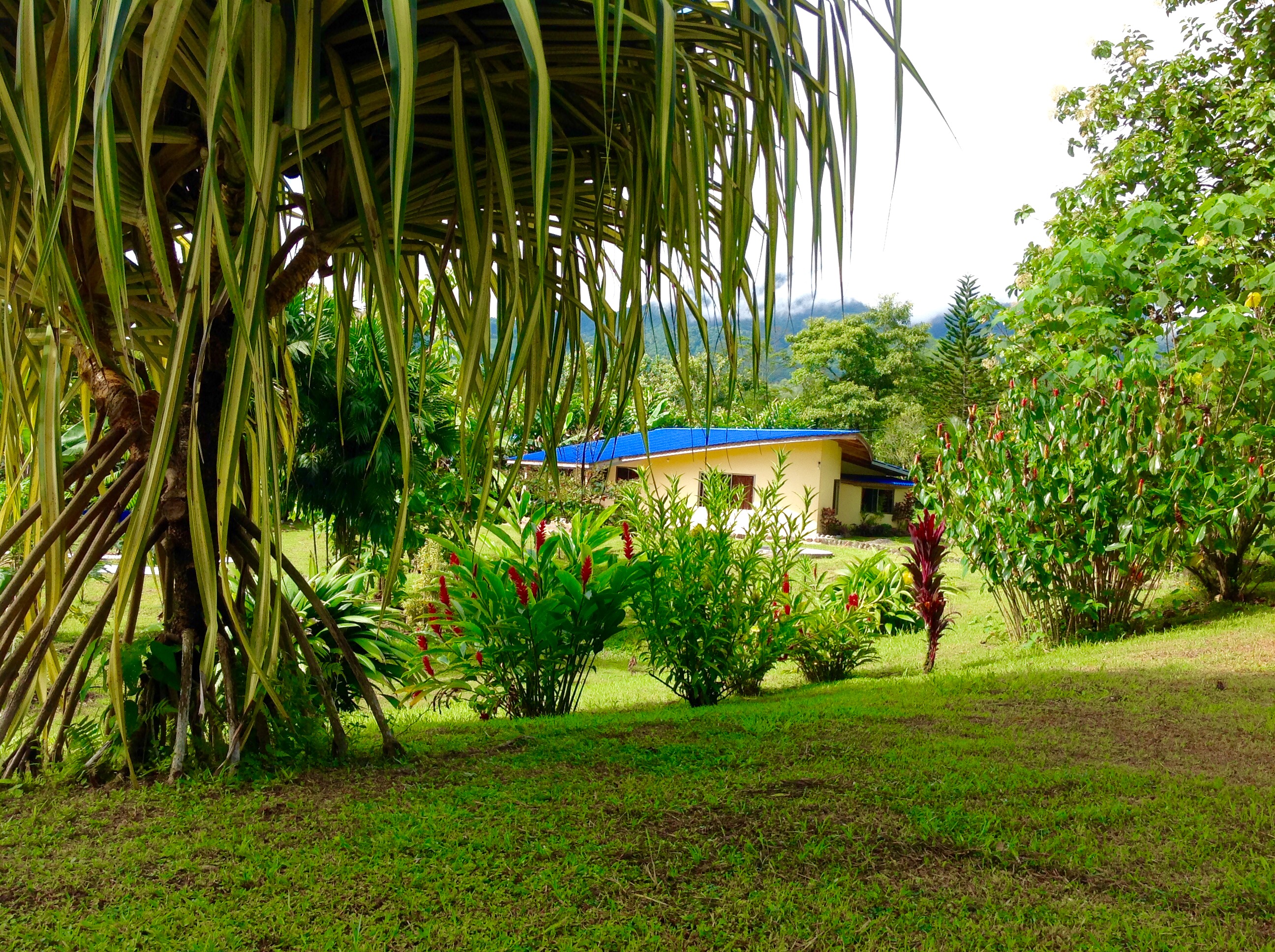 5 bed Single Family Homes For Sale in La Fortuna, Alajuela - thumb 11