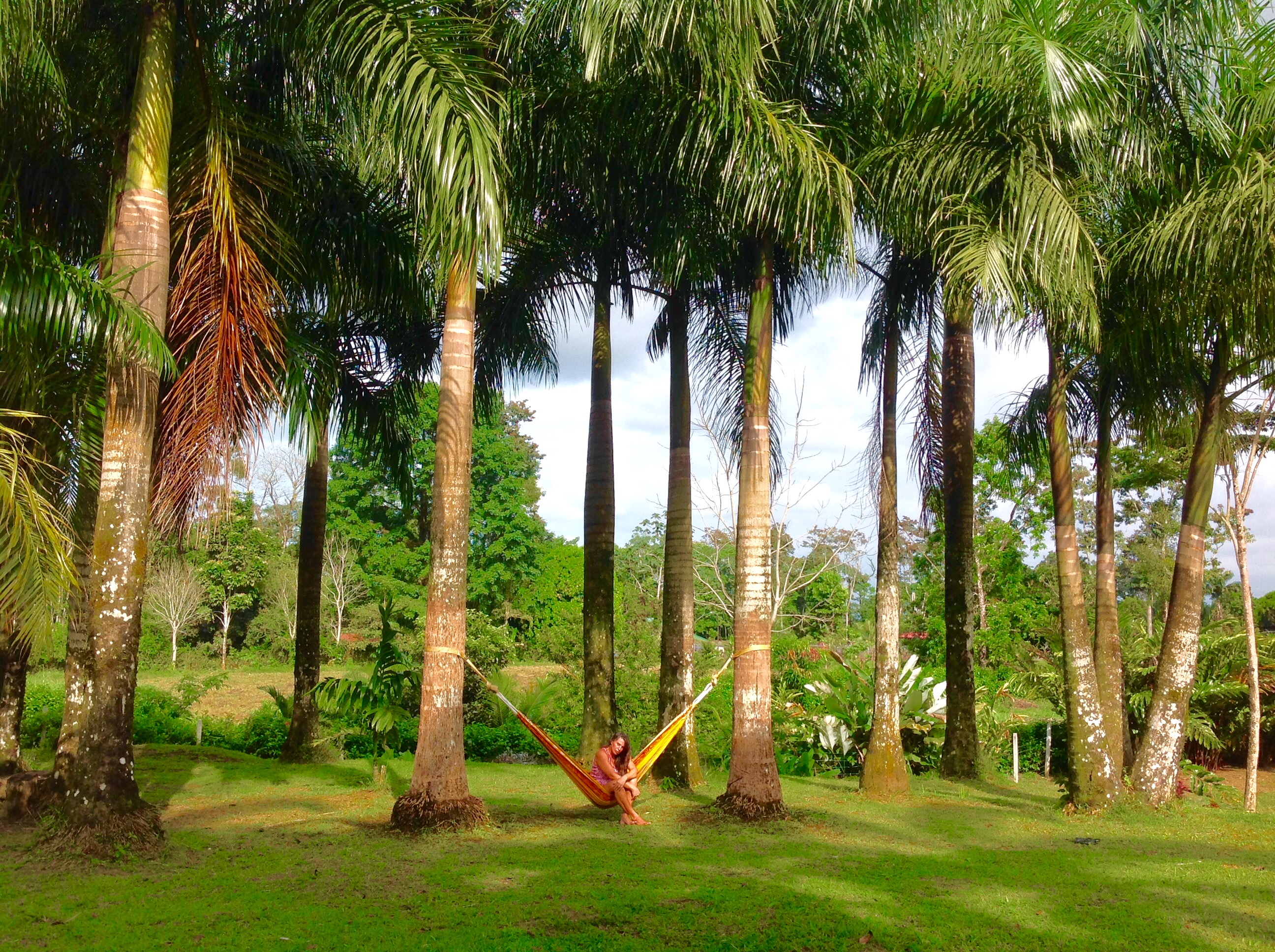 5 bed Single Family Homes For Sale in La Fortuna, Alajuela - thumb 13