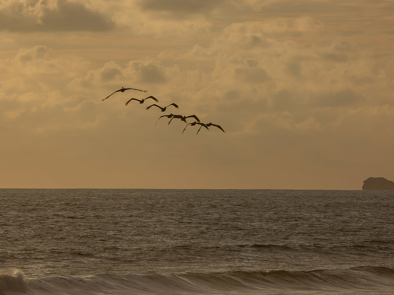 0 bed Land For Sale in Golfito, Puntarenas - 1