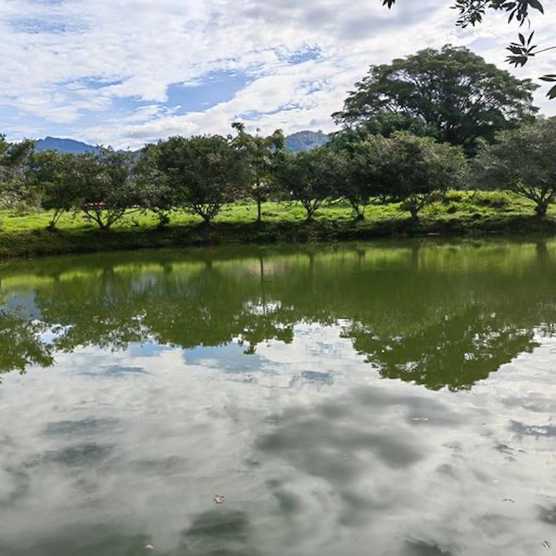 0 bed Land For Sale in Perez Zeledon, Puntarenas - thumb 7