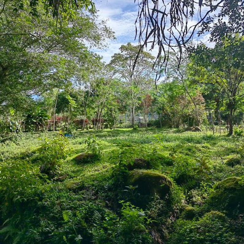 0 bed Land For Sale in Perez Zeledon, Puntarenas - thumb 5