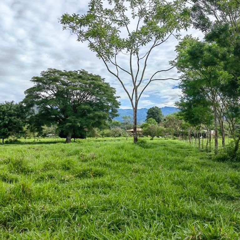 0 bed Land For Sale in Perez Zeledon, Puntarenas - thumb 3