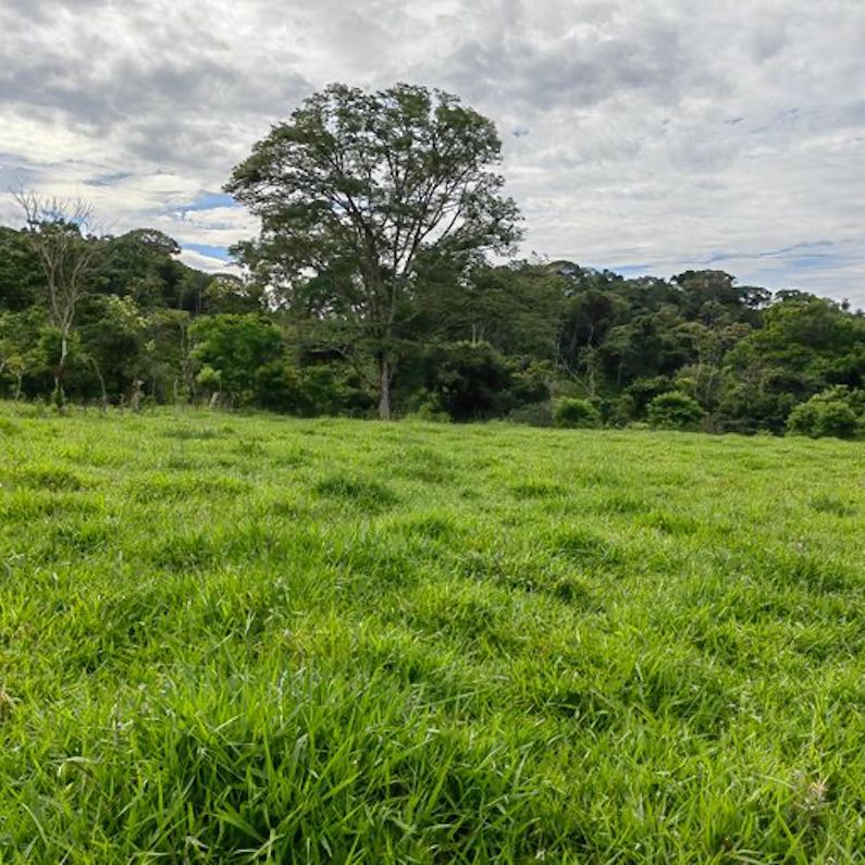 0 bed Land For Sale in Perez Zeledon, Puntarenas - thumb 4