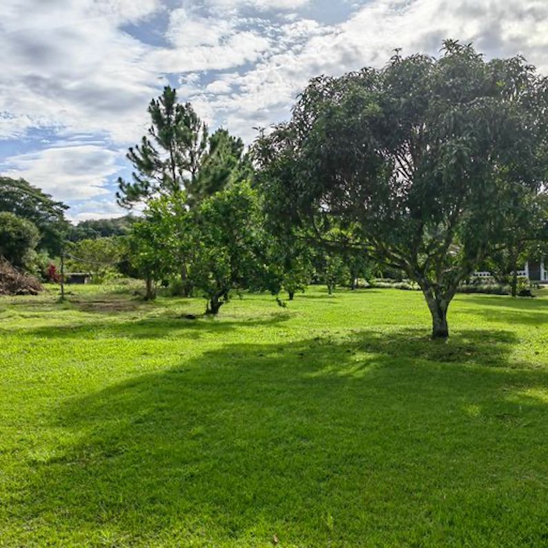 0 bed Land For Sale in Perez Zeledon, Puntarenas - thumb 8