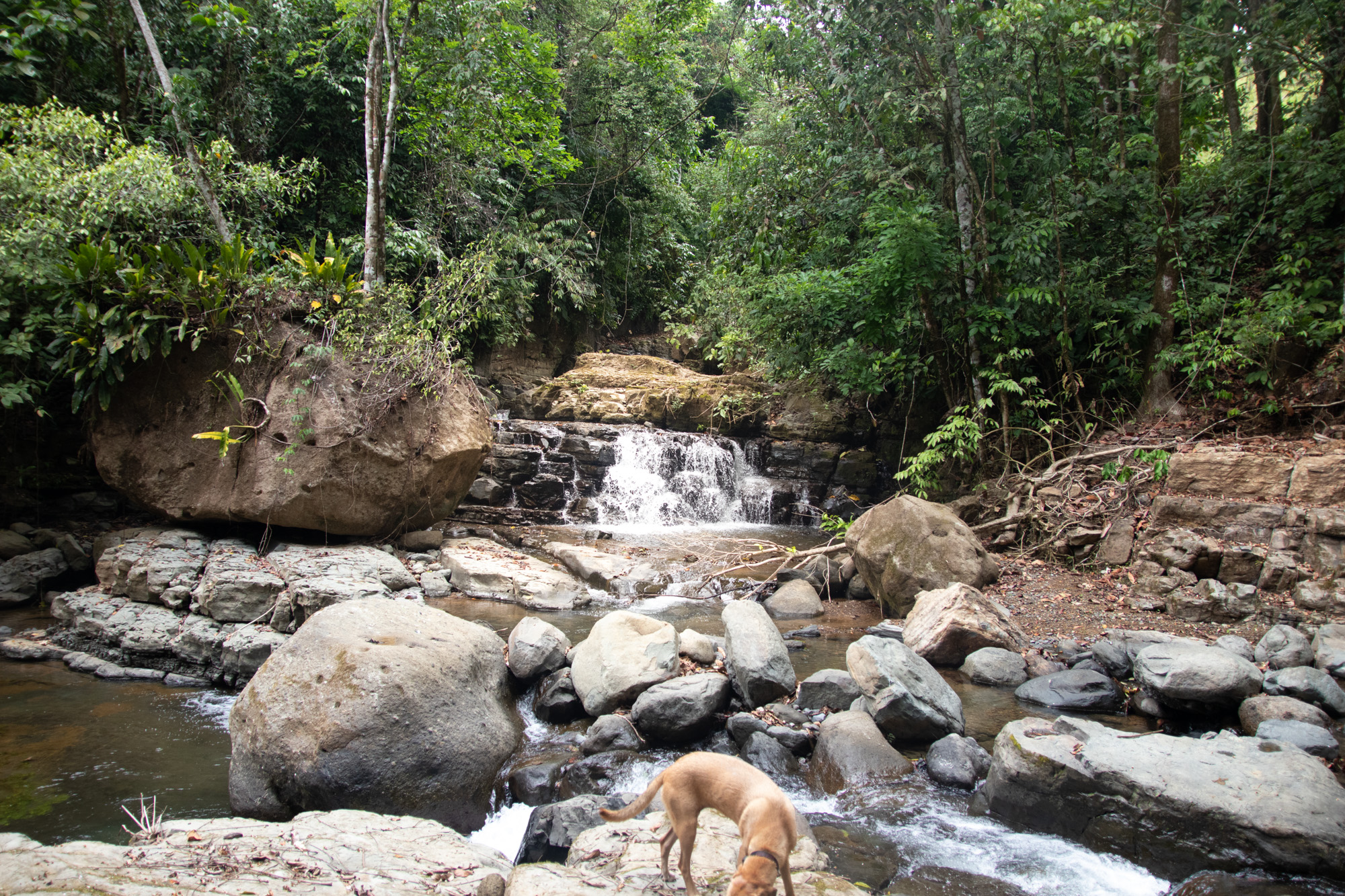 0 bed Land For Sale in Dominical, Puntarenas - thumb 19