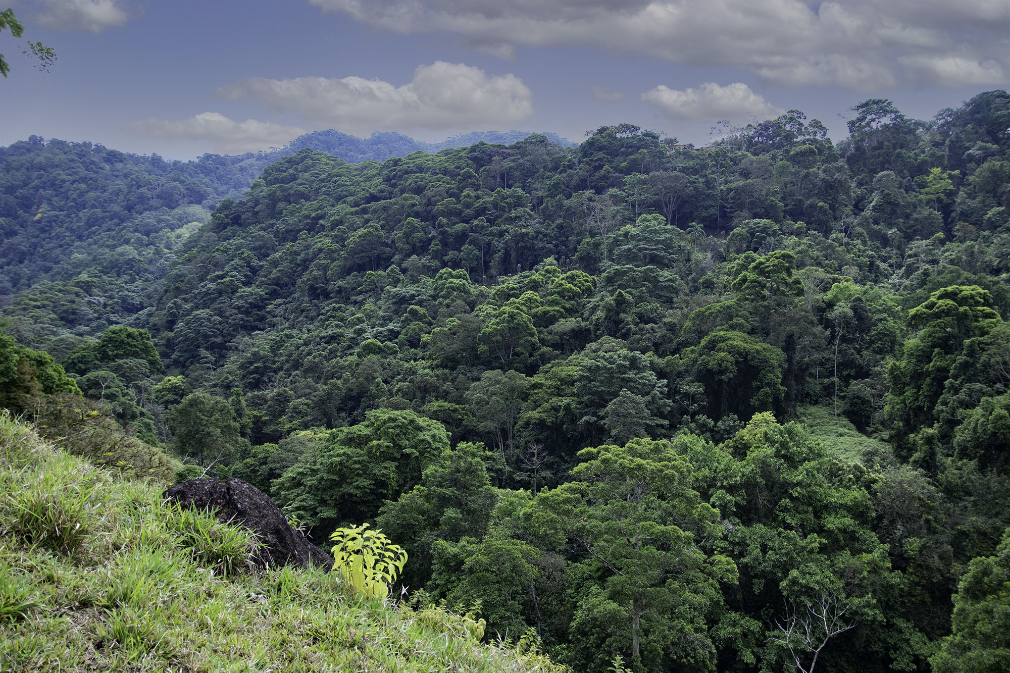 0 bed Land For Sale in Dominical, Puntarenas - thumb 8