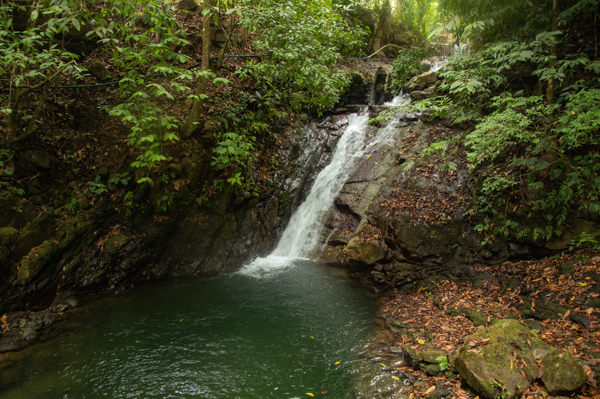 0 bed Land For Sale in Dominical, Puntarenas - thumb 12