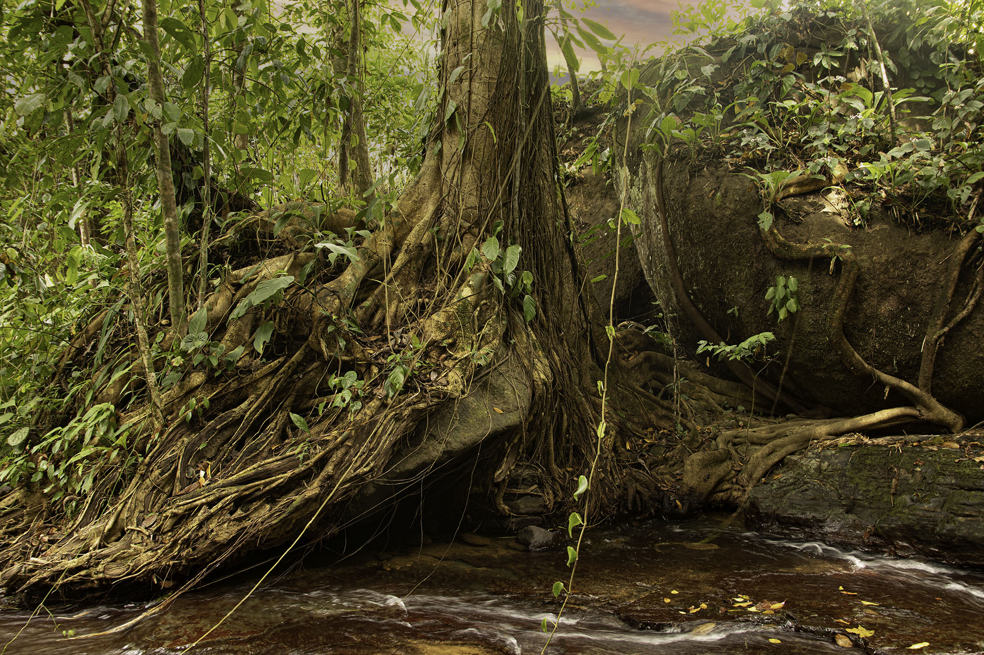 0 bed Land For Sale in Dominical, Puntarenas - thumb 5