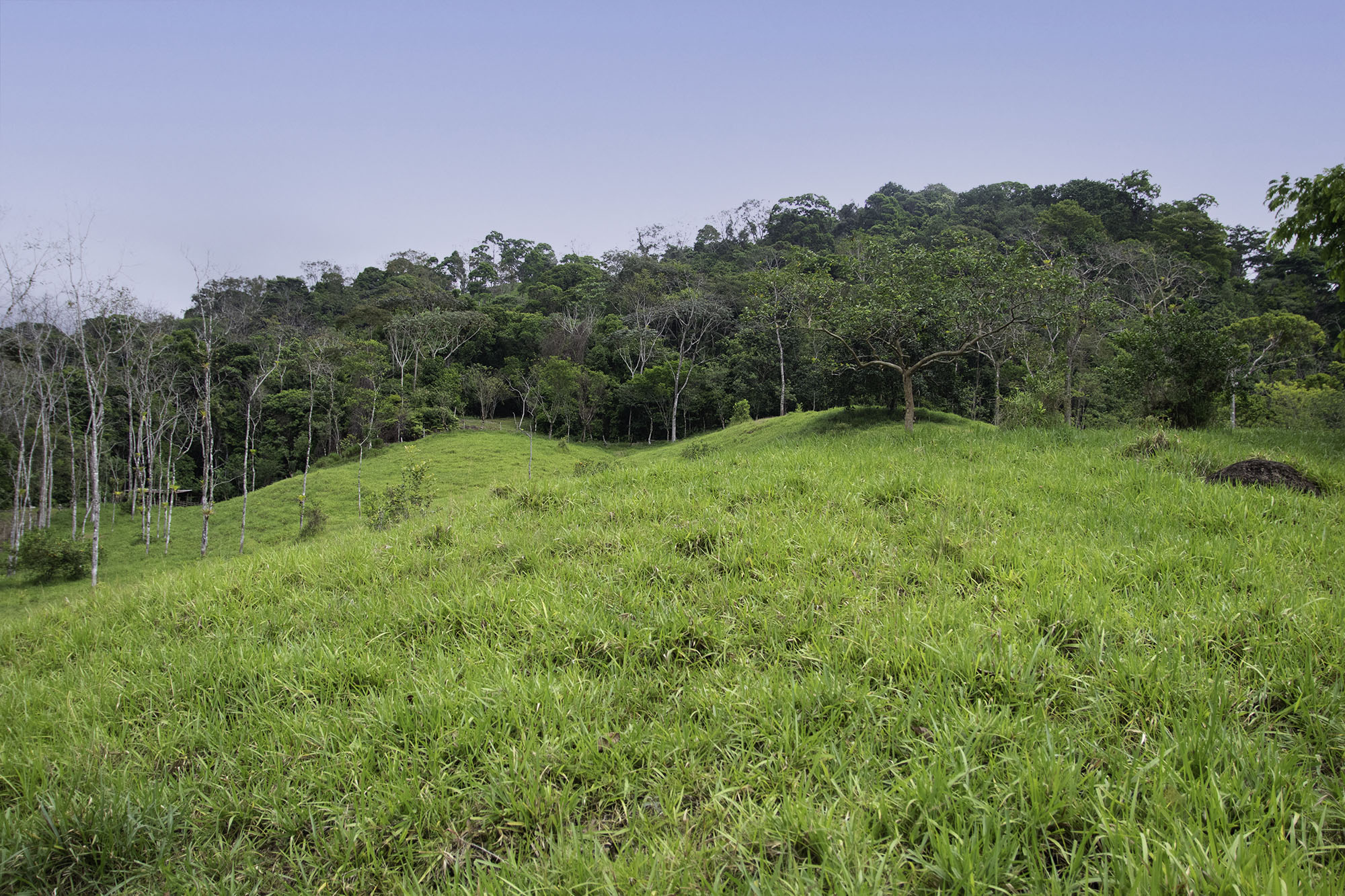 0 bed Land For Sale in Dominical, Puntarenas - thumb 9