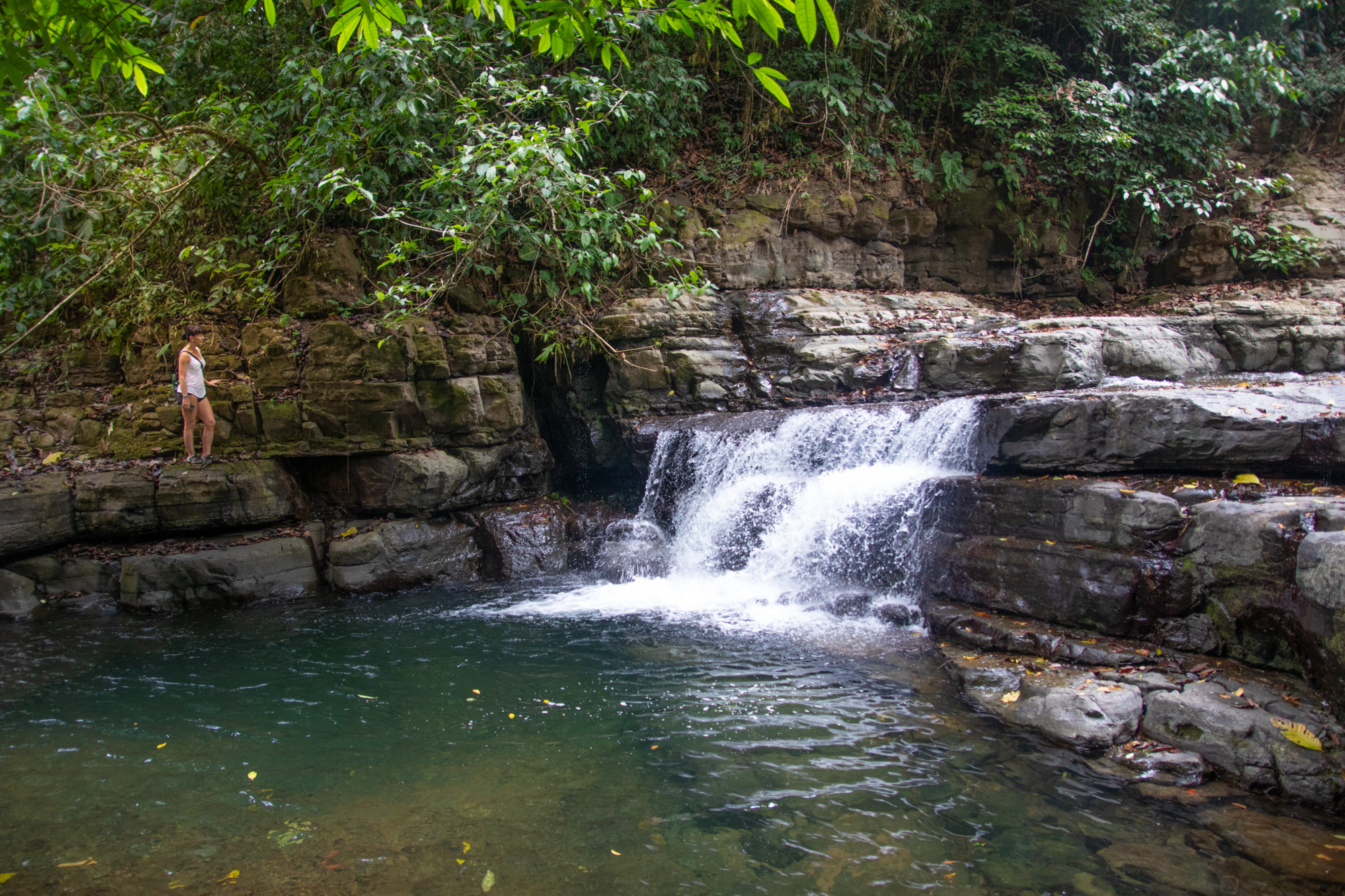 0 bed Land For Sale in Dominical, Puntarenas - thumb 17