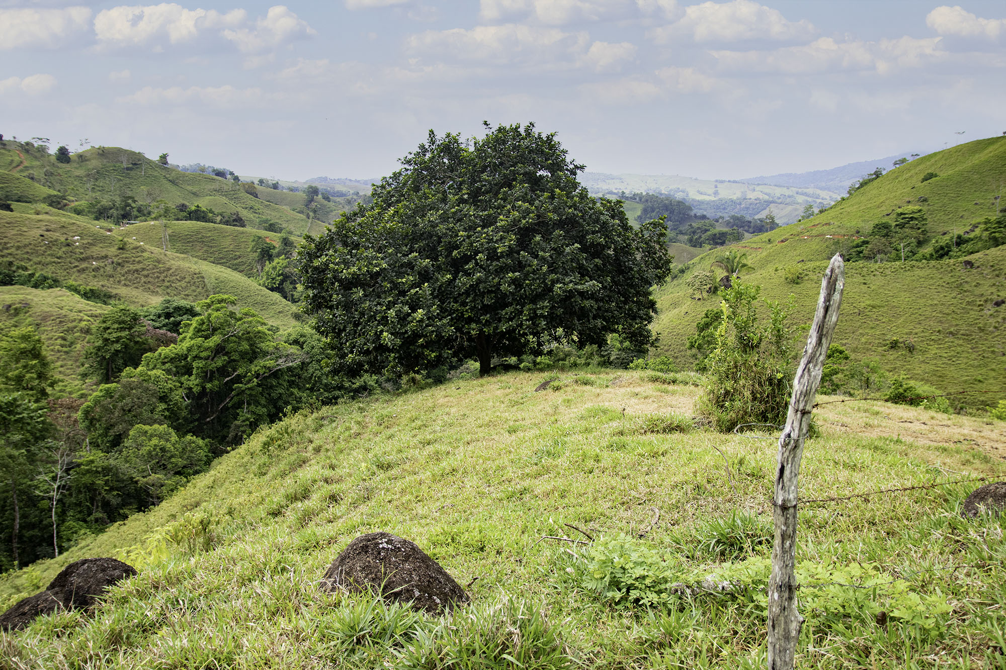 0 bed Land For Sale in Dominical, Puntarenas - thumb 10