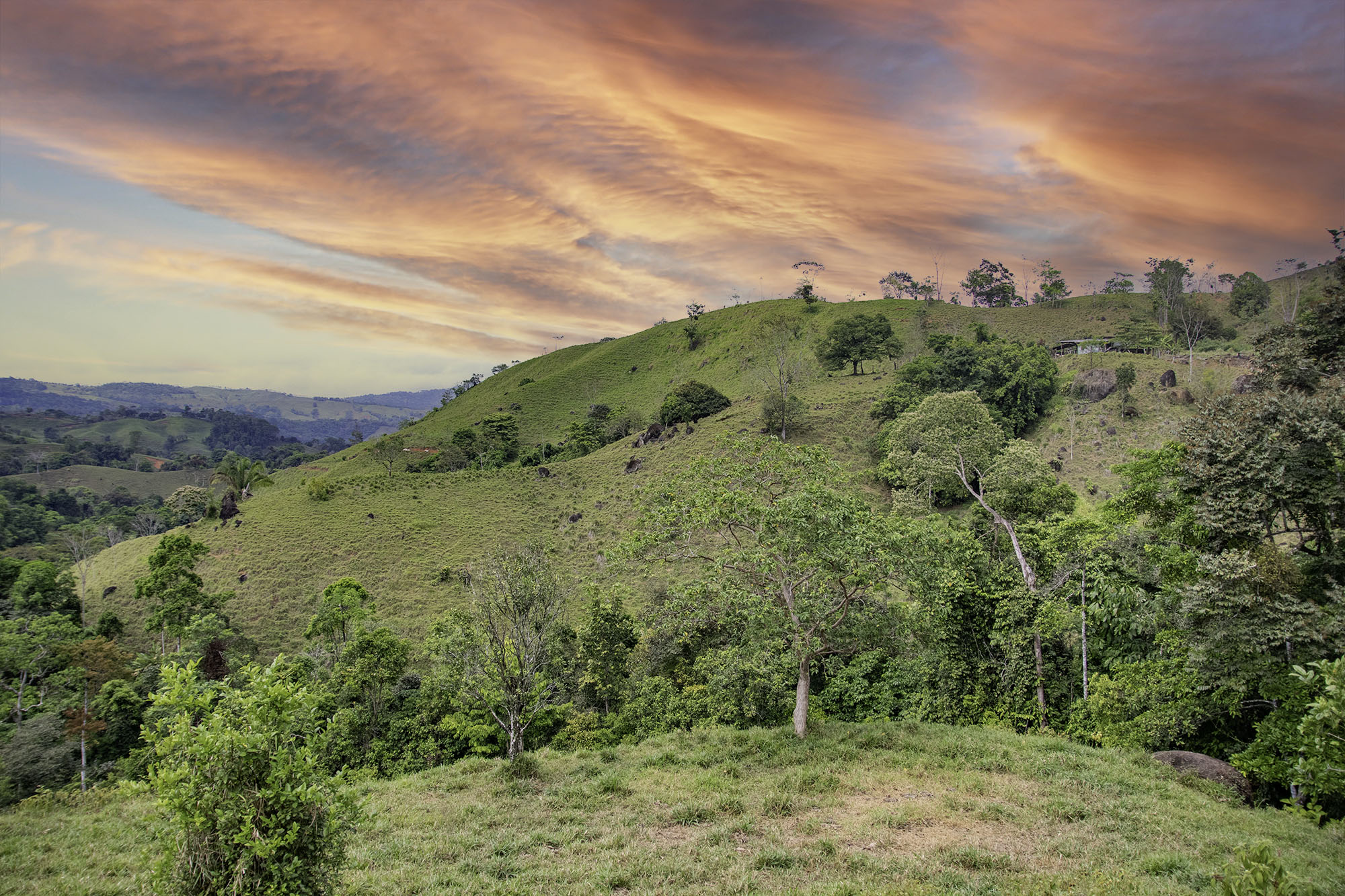 0 bed Land For Sale in Dominical, Puntarenas - thumb 7