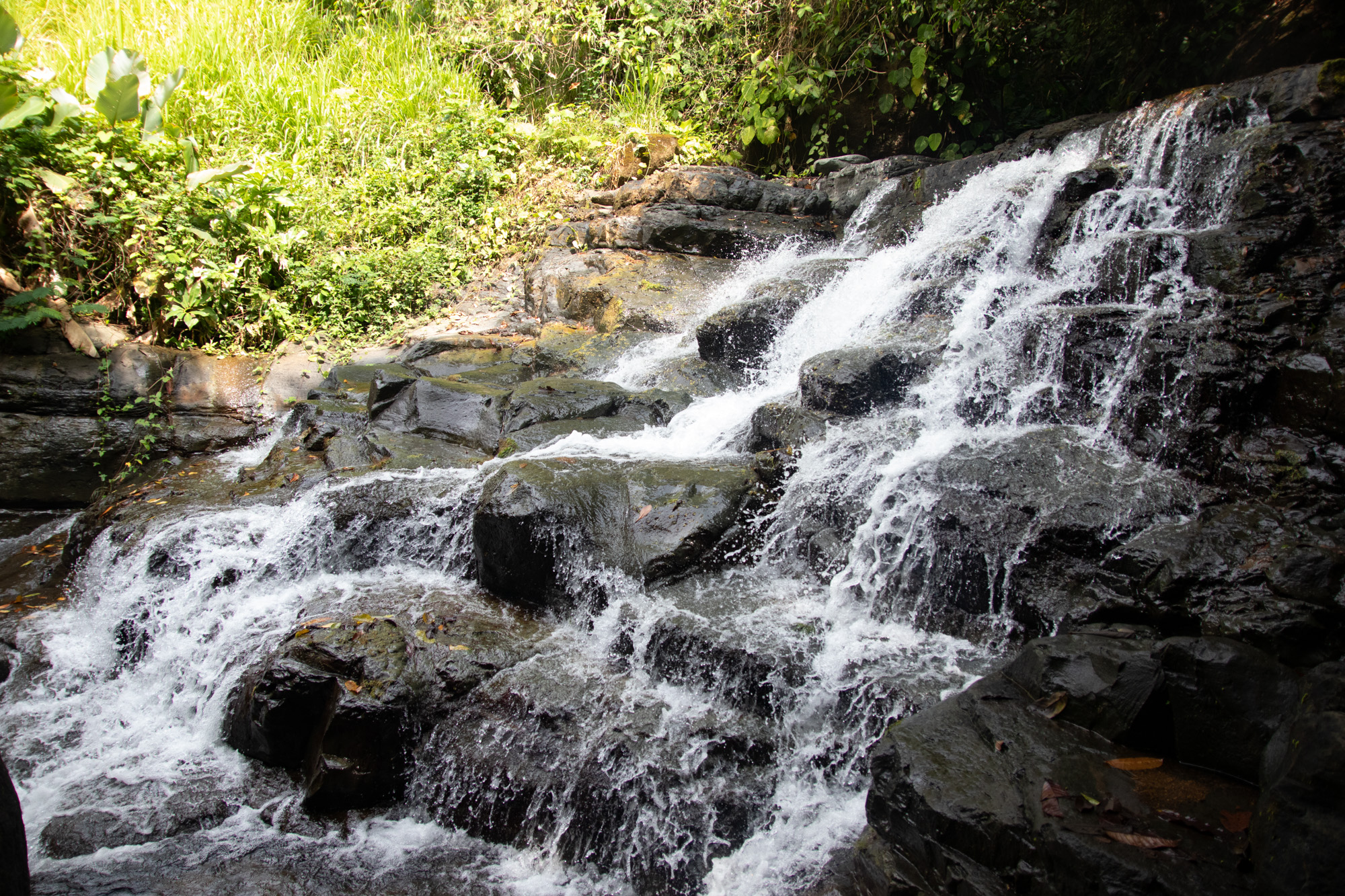 0 bed Land For Sale in Dominical, Puntarenas - thumb 14