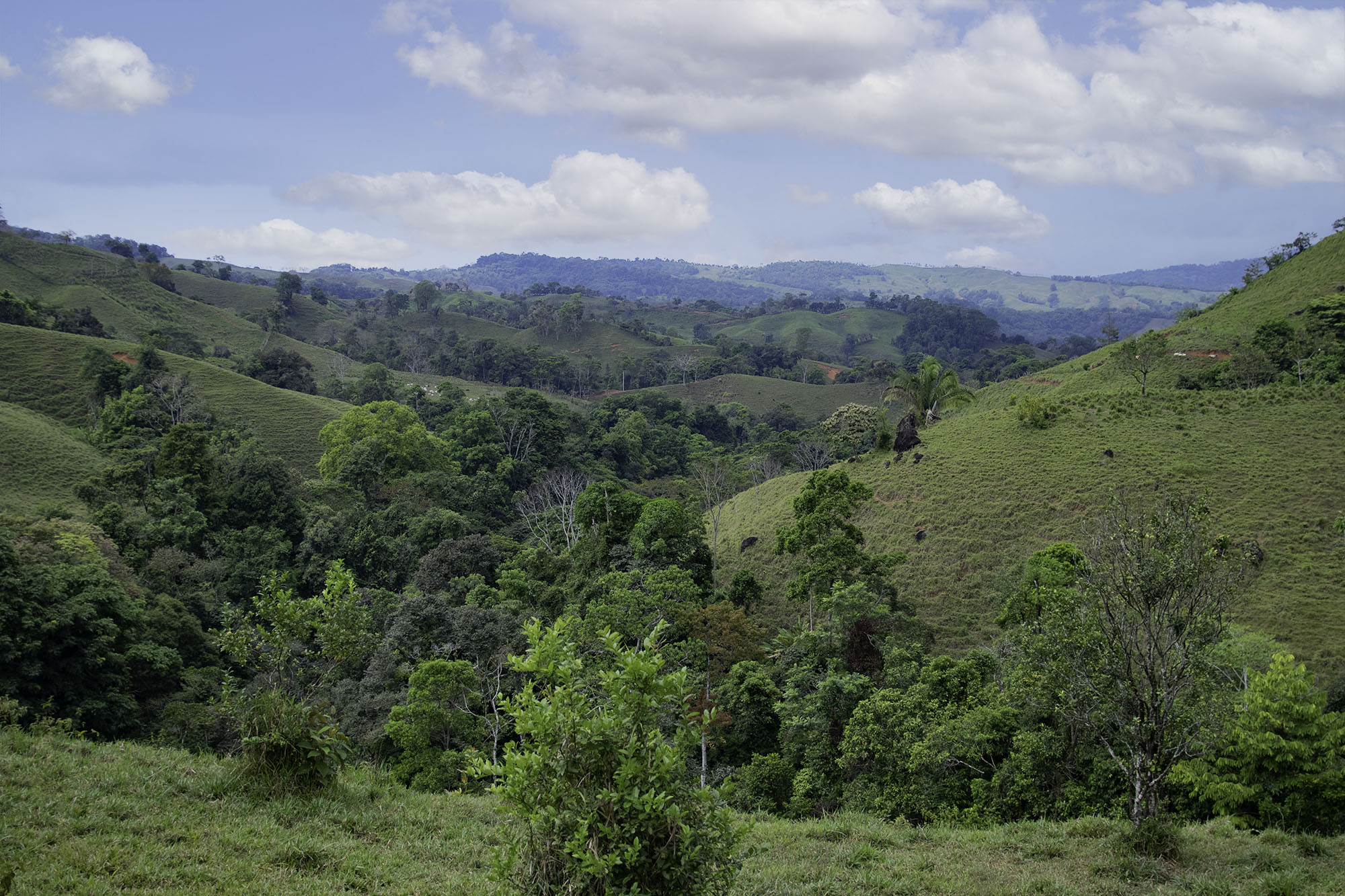 0 bed Land For Sale in Dominical, Puntarenas - thumb 6