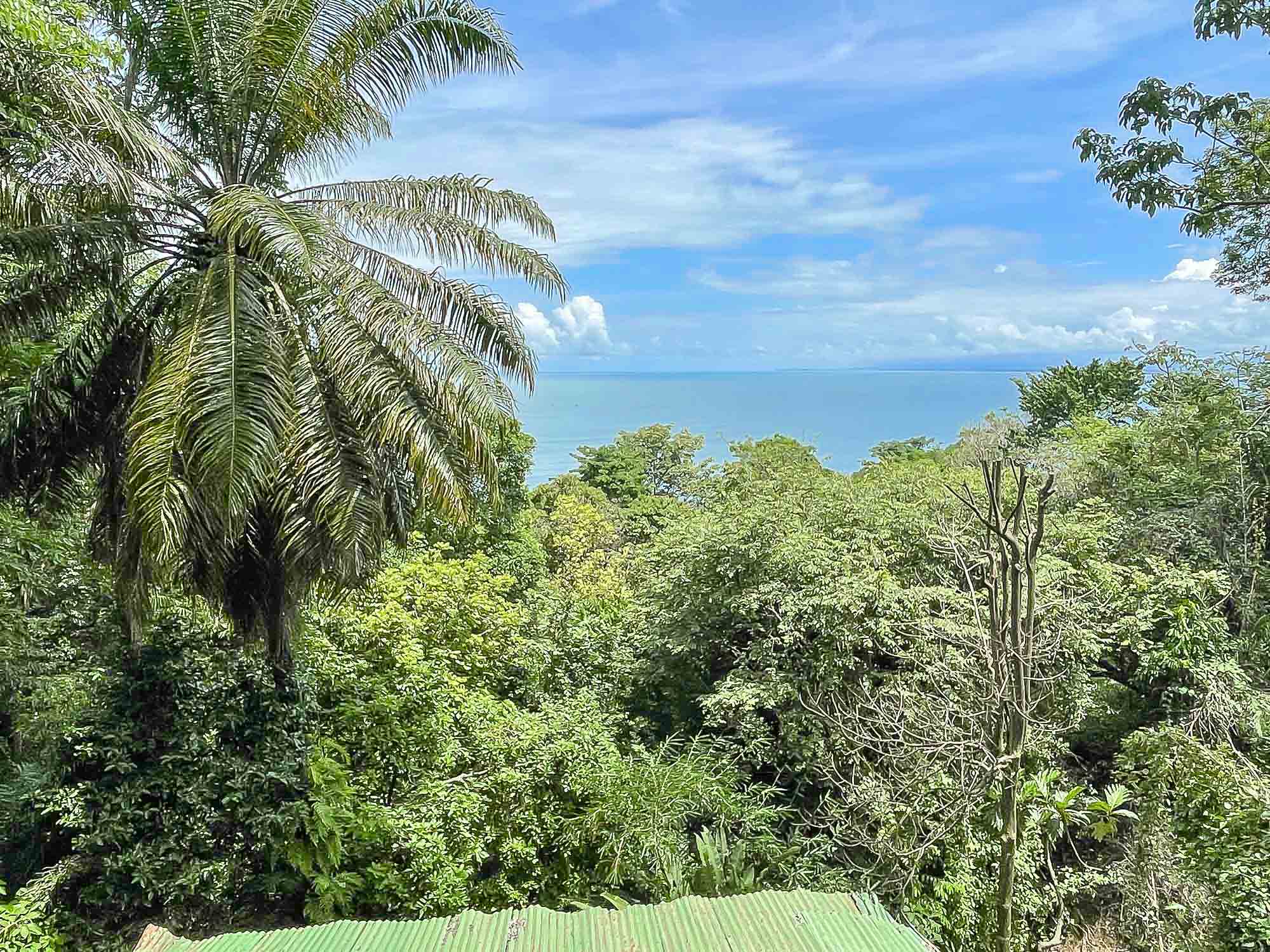 3 bed Single Family Homes For Sale in Manuel Antonio, Puntarenas - thumb 15