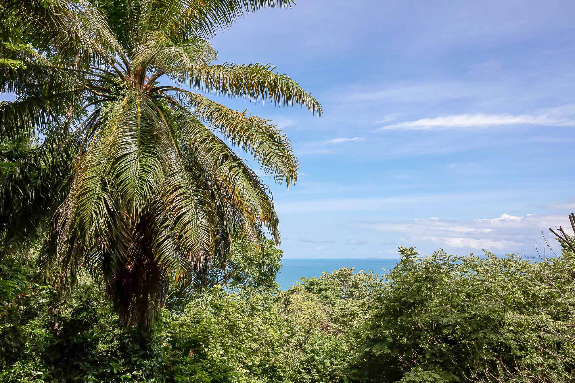 3 bed Single Family Homes For Sale in Manuel Antonio, Puntarenas - thumb 13