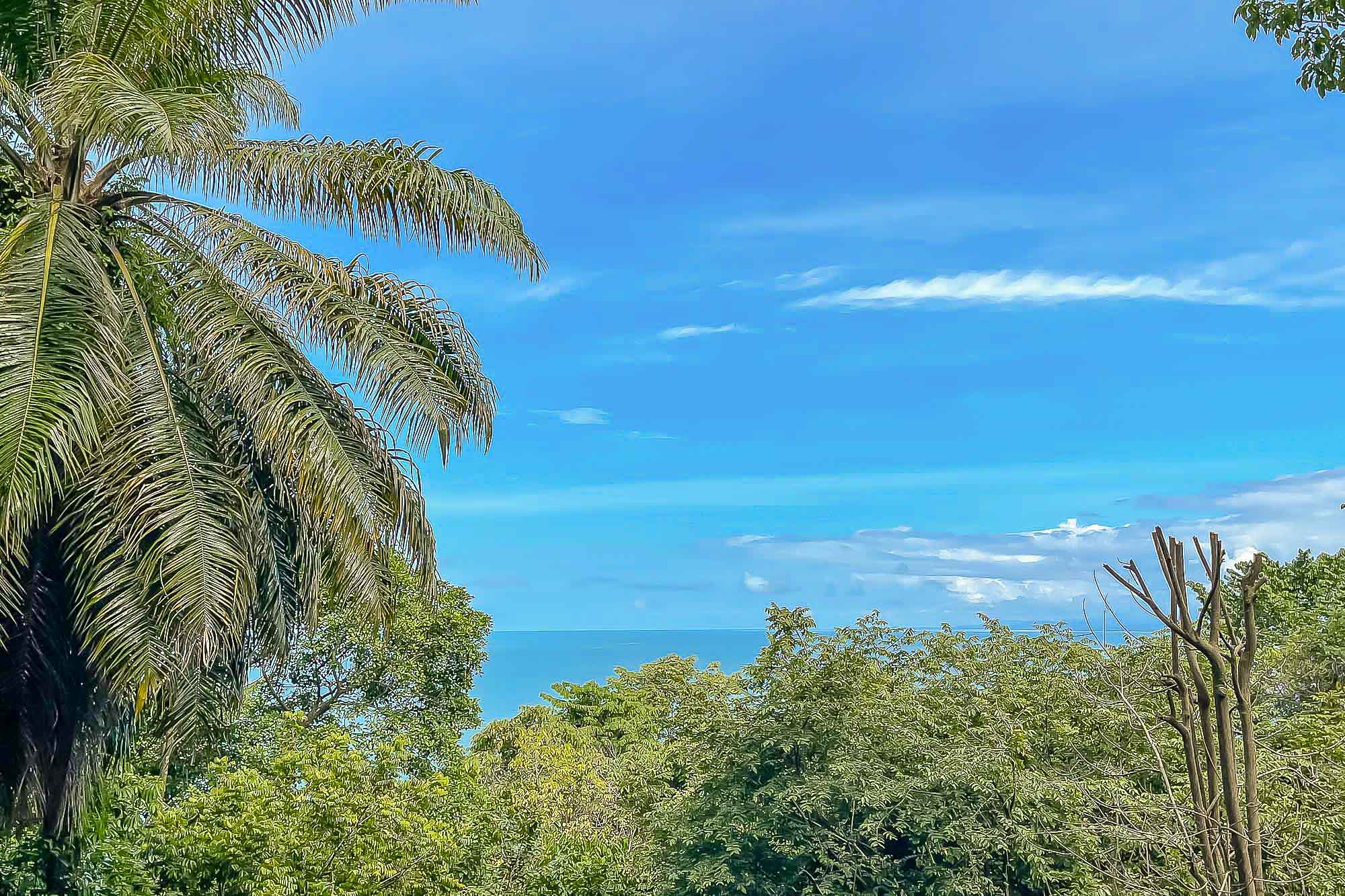 3 bed Single Family Homes For Sale in Manuel Antonio, Puntarenas - thumb 16