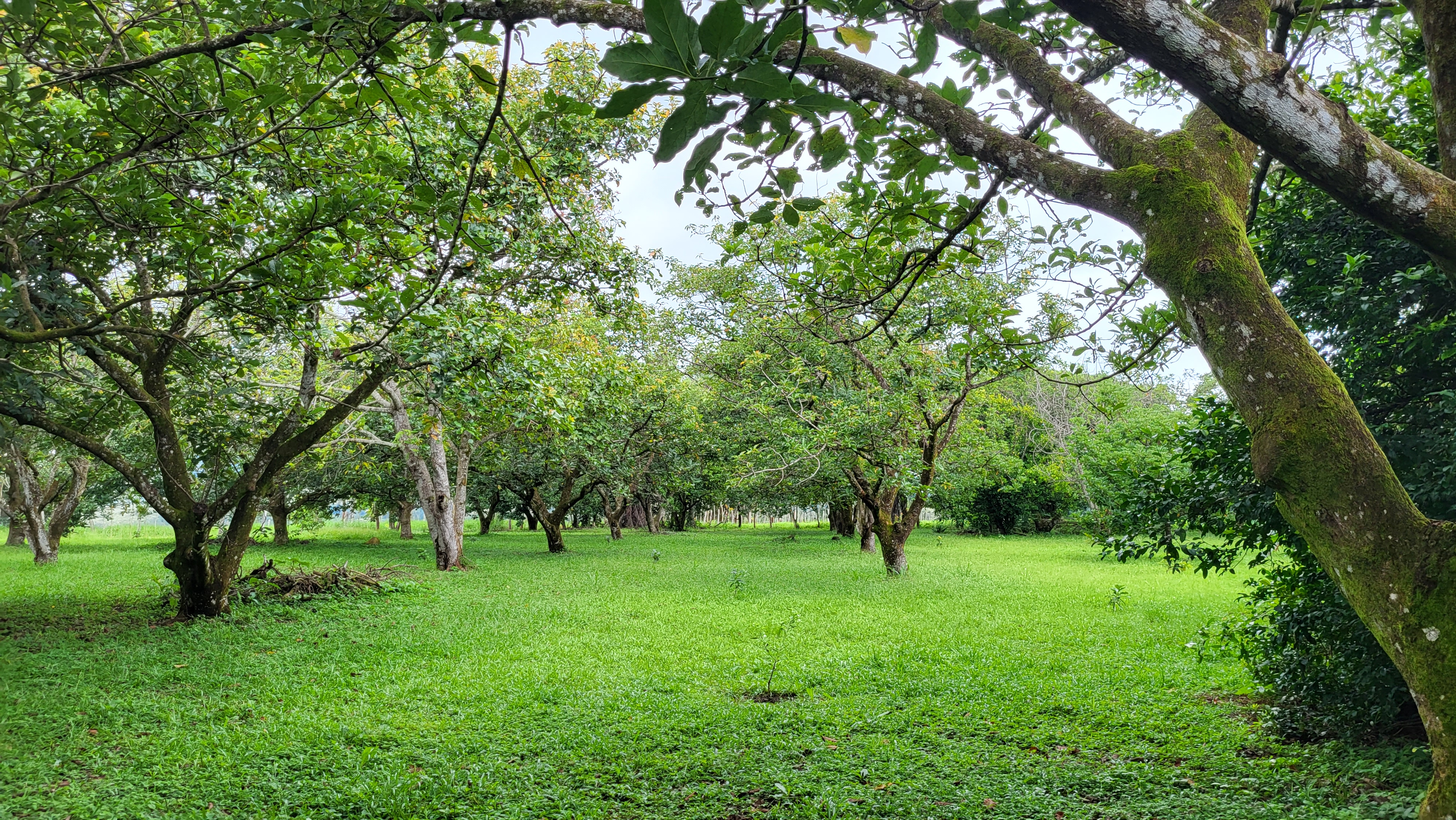 3 bed Land For Sale in Esparza, Puntarenas - thumb 16