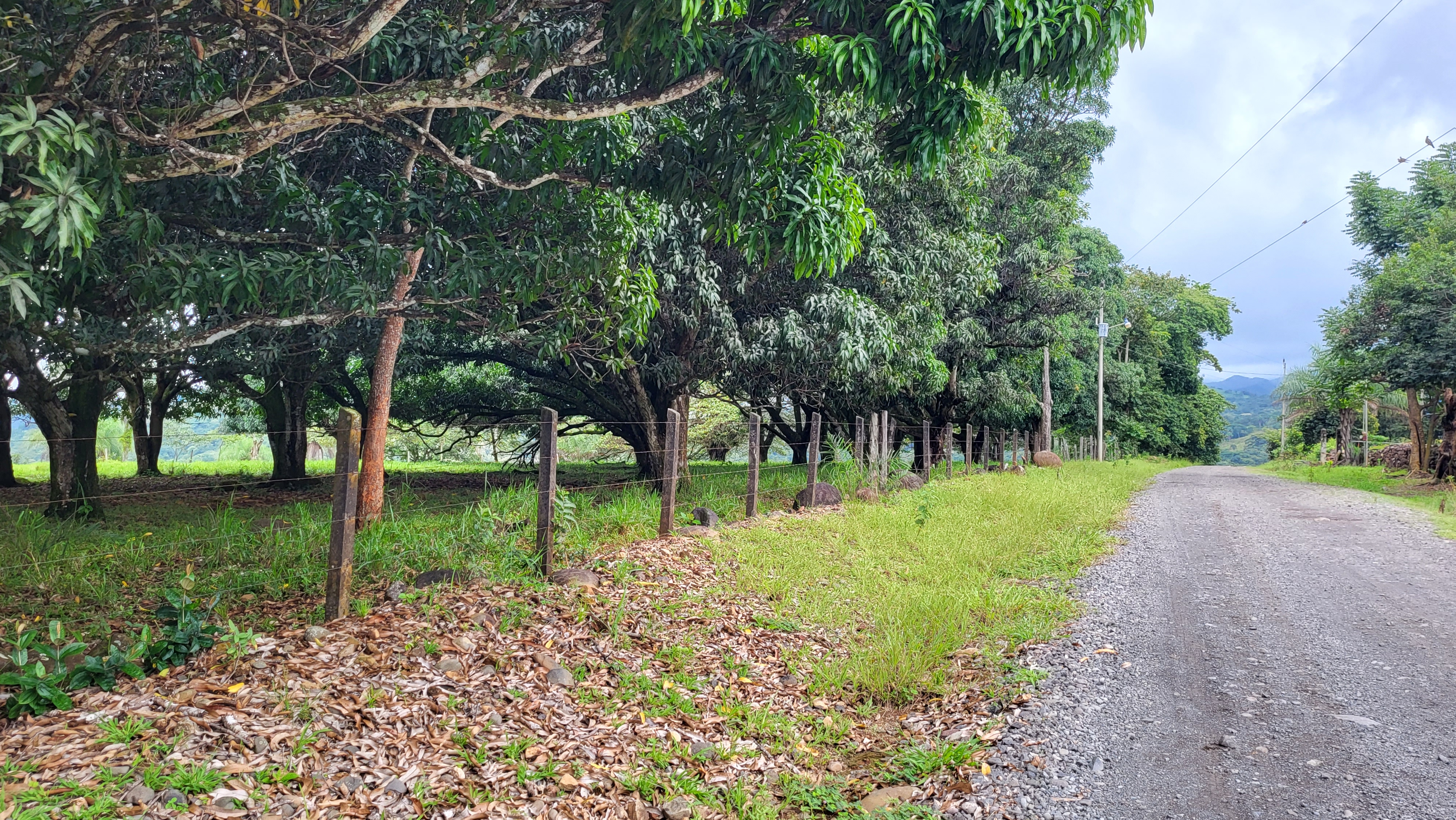 3 bed Land For Sale in Esparza, Puntarenas - thumb 19