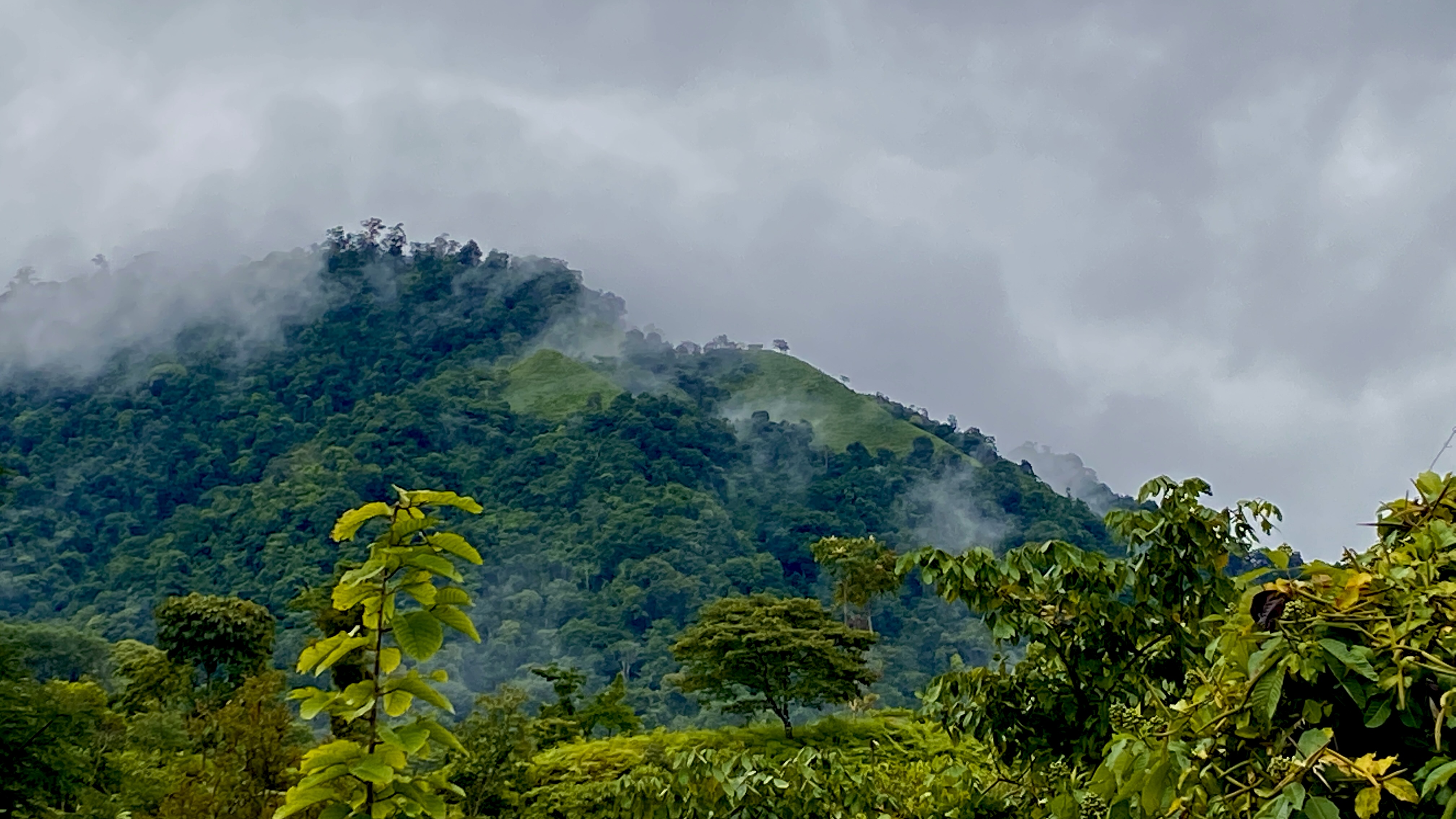 0 bed Land For Sale in Ojochal, Puntarenas - thumb 3