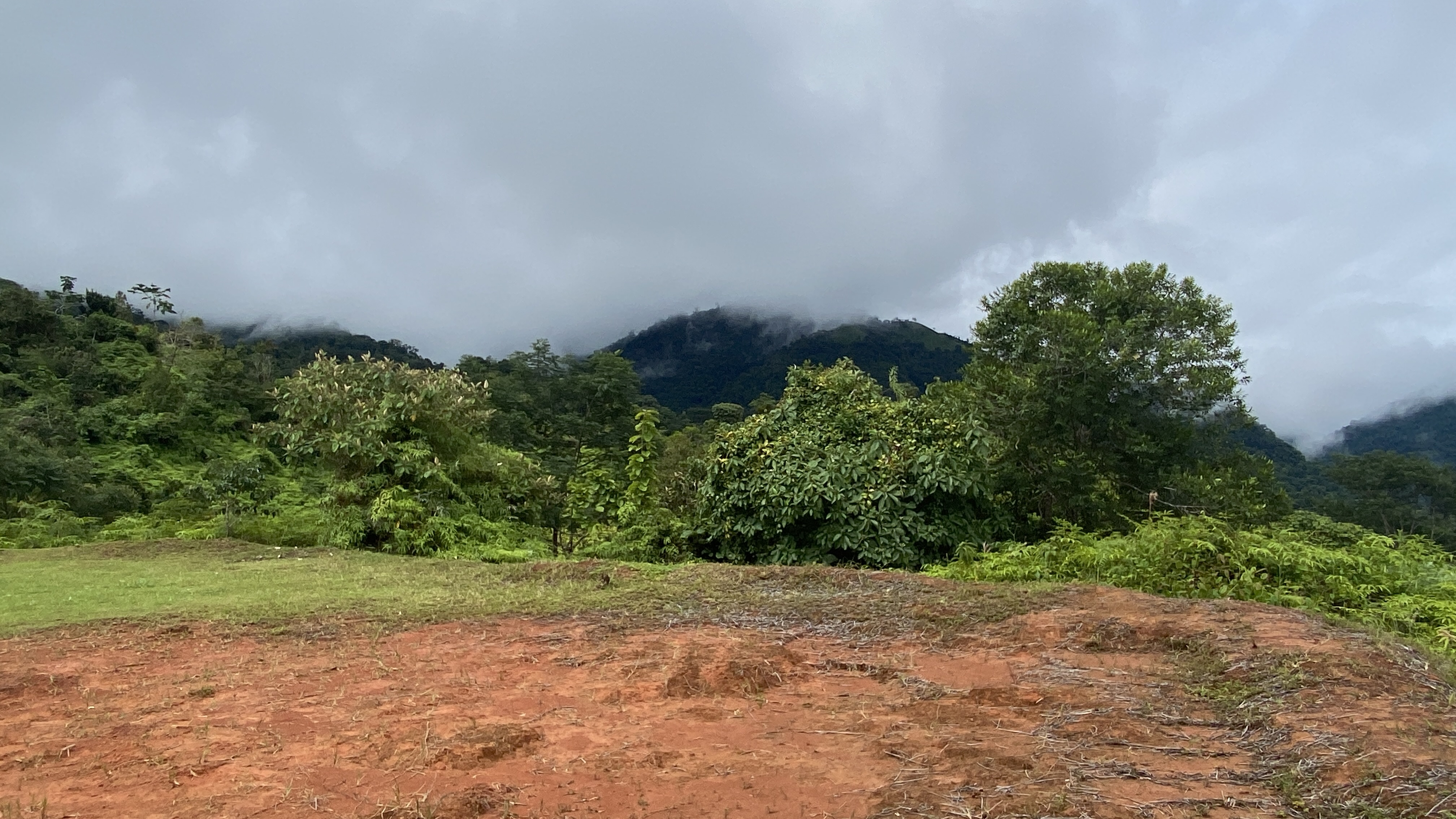 0 bed Land For Sale in Ojochal, Puntarenas - thumb 10