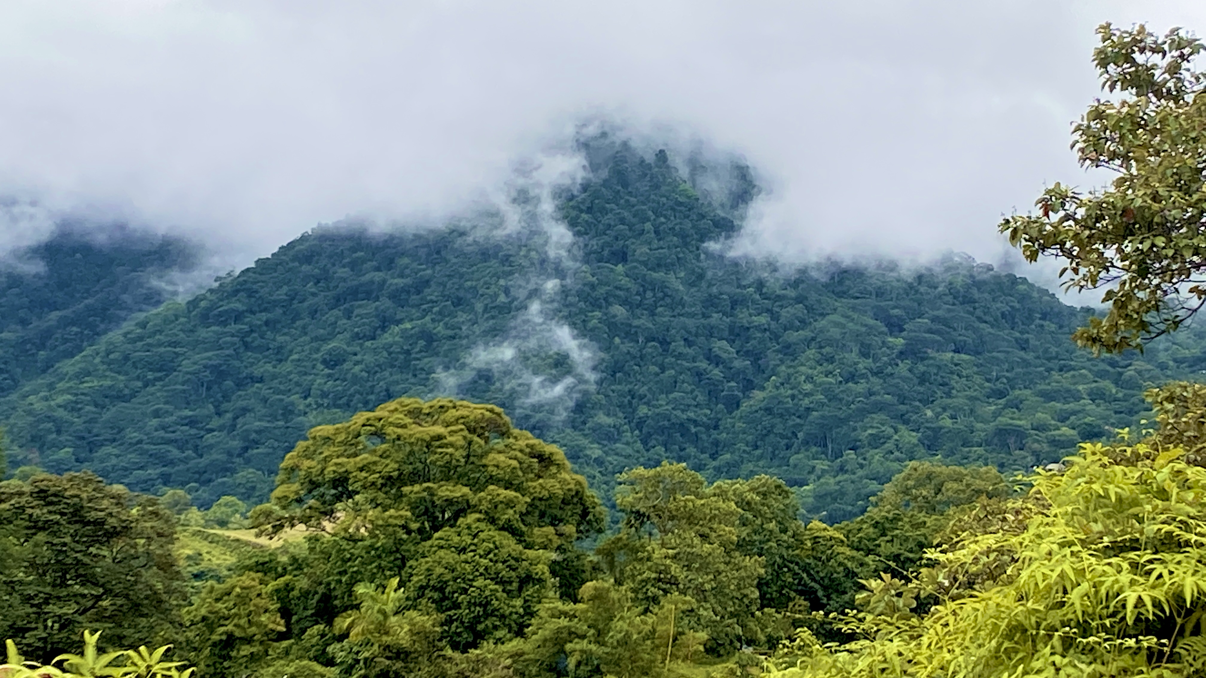 0 bed Land For Sale in Ojochal, Puntarenas - thumb 2