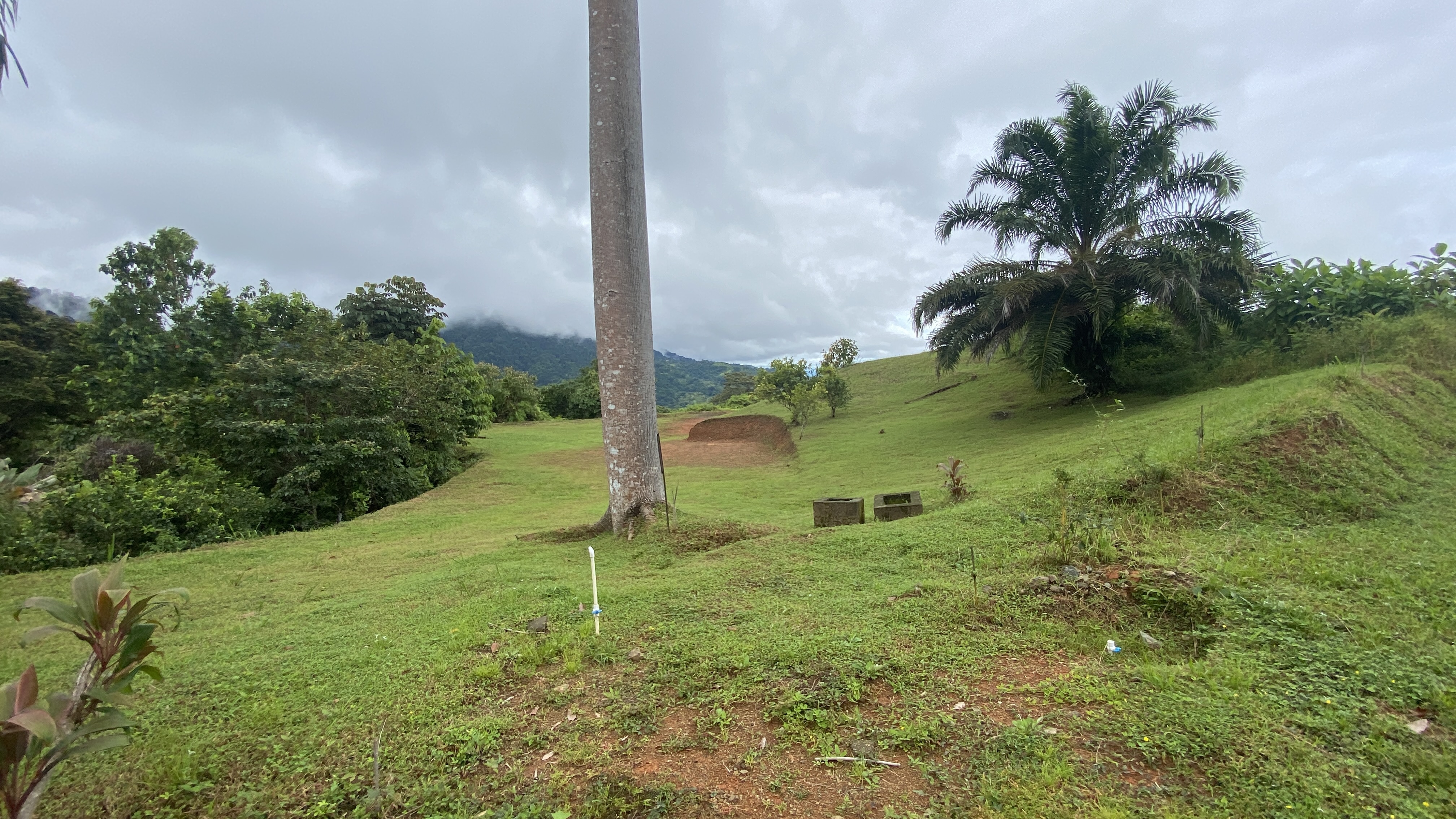 0 bed Land For Sale in Ojochal, Puntarenas - thumb 6