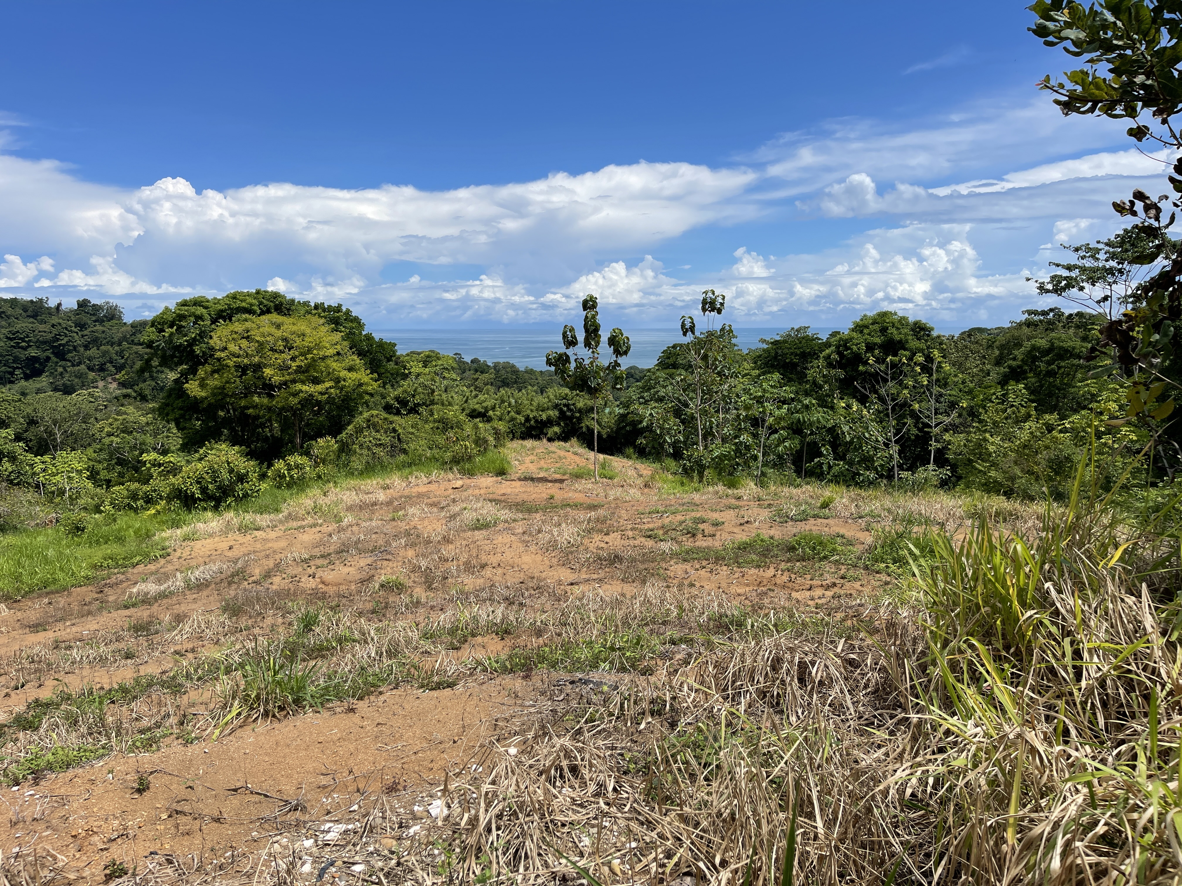 0 bed Land For Sale in Uvita, Puntarenas - thumb 5
