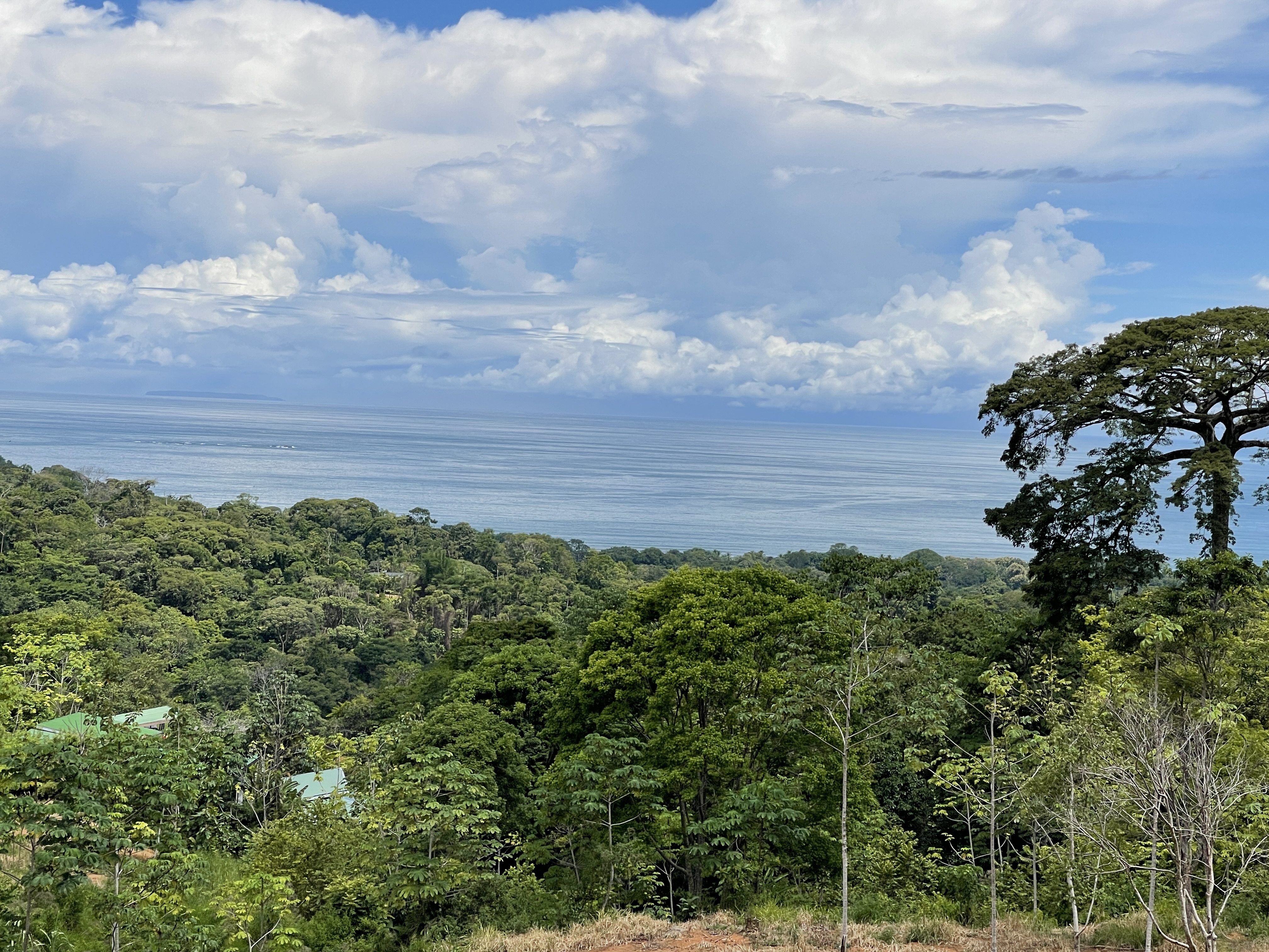 0 bed Land For Sale in Uvita, Puntarenas - thumb 7