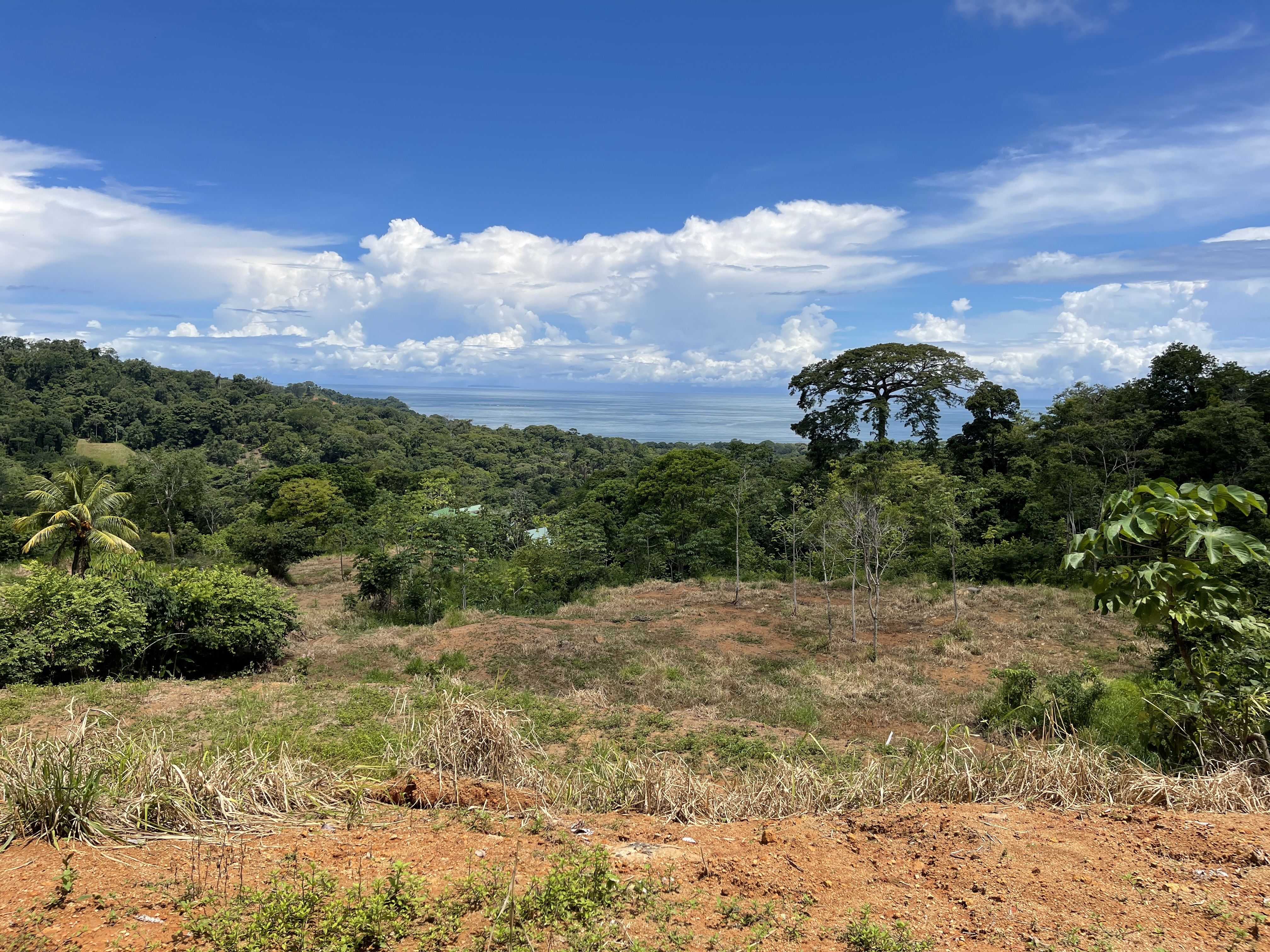 0 bed Land For Sale in Uvita, Puntarenas - thumb 6