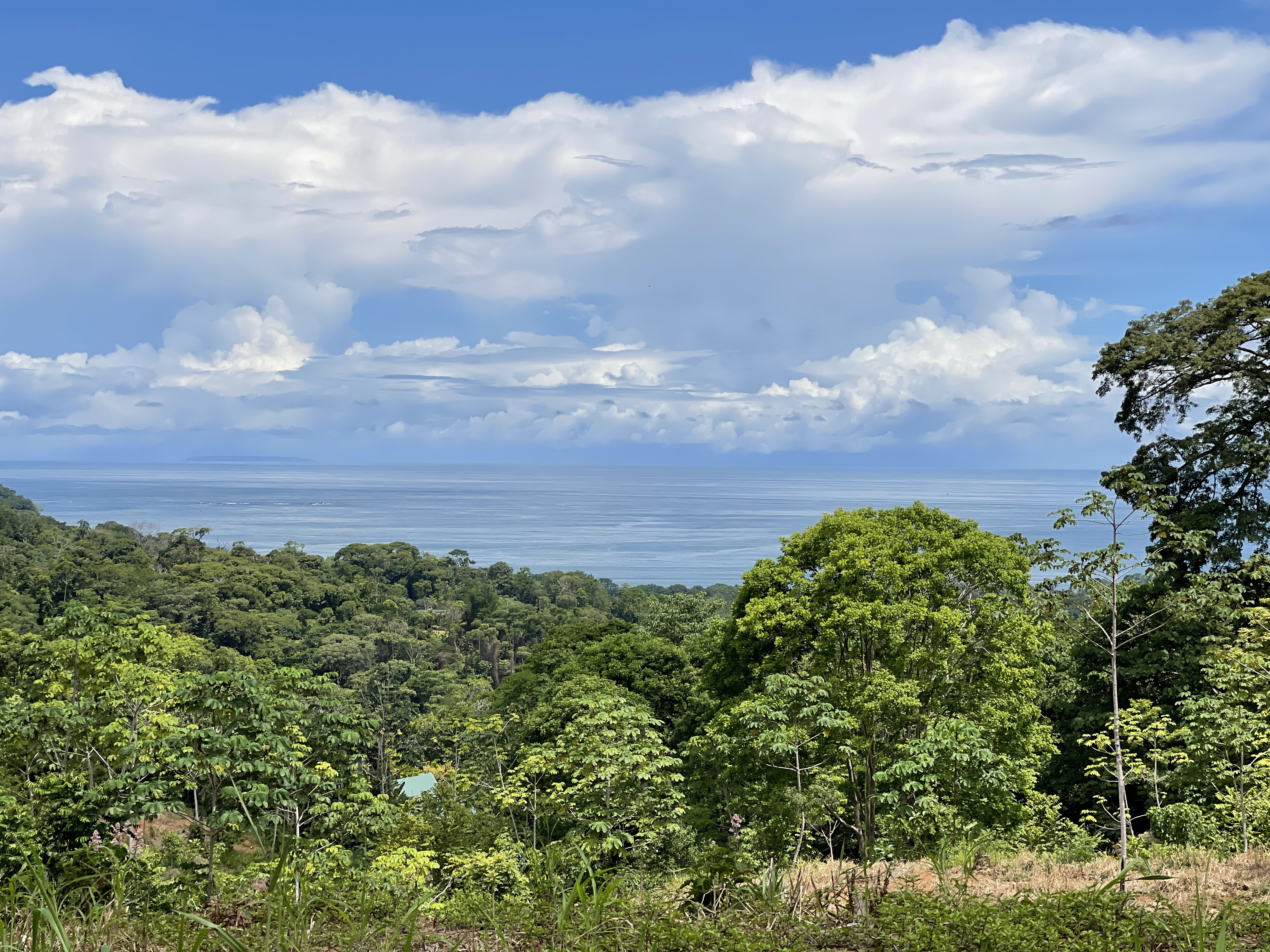 0 bed Land For Sale in Uvita, Puntarenas - thumb 8