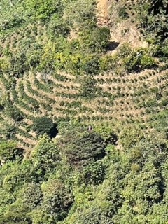 0 bed Land For Sale in San Ramon, Alajuela - thumb 3