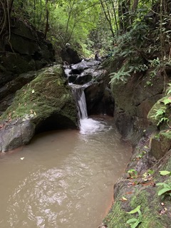 0 bed Land For Sale in San Ramon, Alajuela - thumb 4