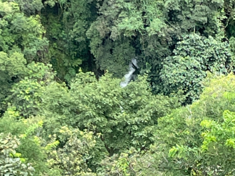 2 bed Single Family Homes For Sale in San Ramon, Alajuela - hero 24