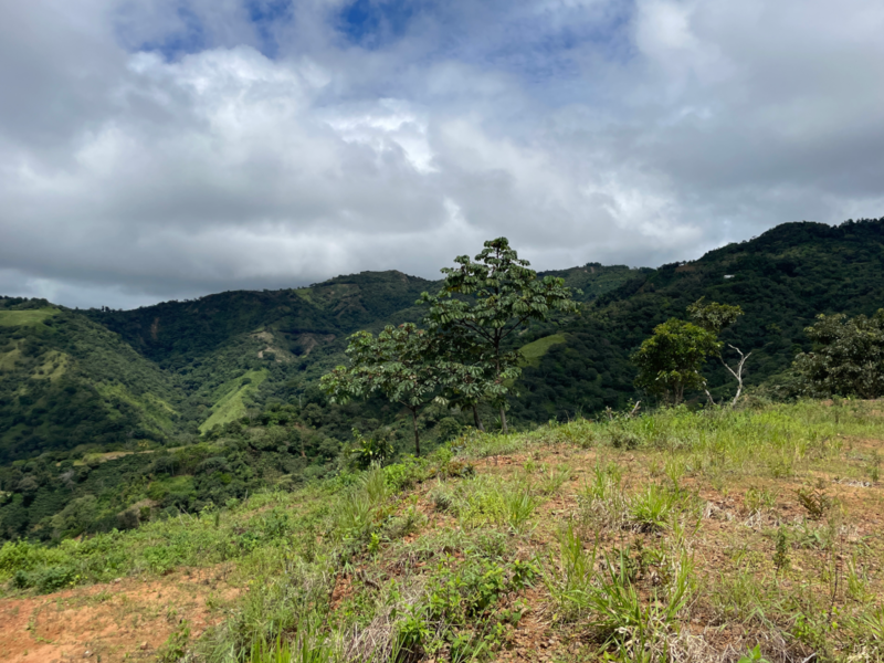 2 bed Single Family Homes For Sale in San Ramon, Alajuela - hero 22