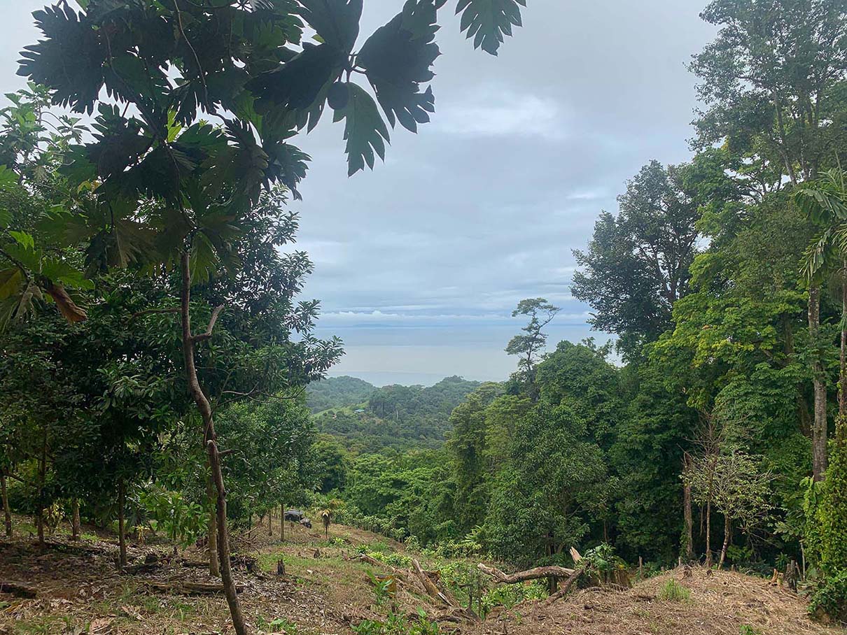 0 bed Land For Sale in Ojochal, Puntarenas - thumb 5