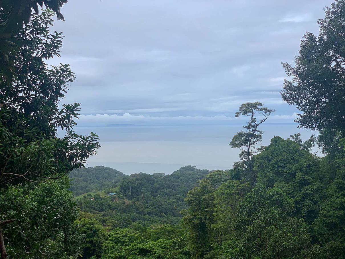 0 bed Land For Sale in Ojochal, Puntarenas - thumb 8