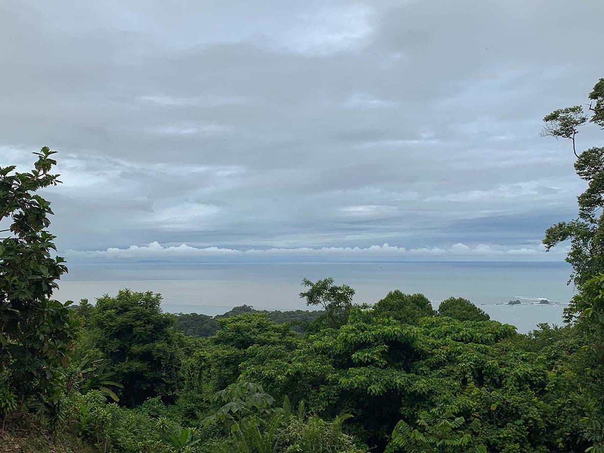 0 bed Land For Sale in Ojochal, Puntarenas - thumb 9