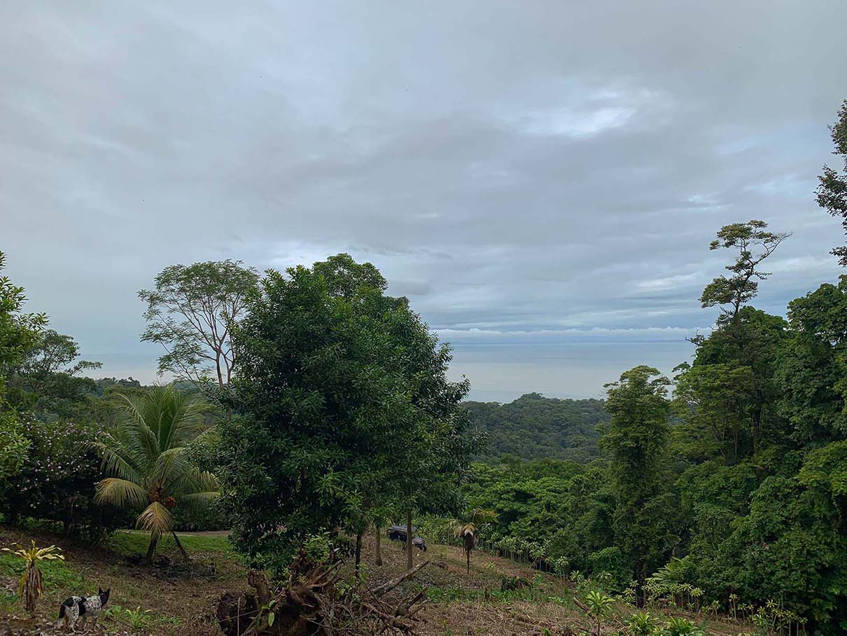 0 bed Land For Sale in Ojochal, Puntarenas - thumb 7