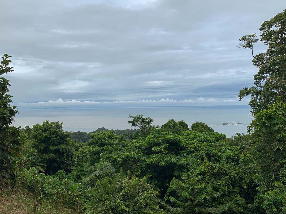 0 bed Land For Sale in Ojochal, Puntarenas - thumb 1