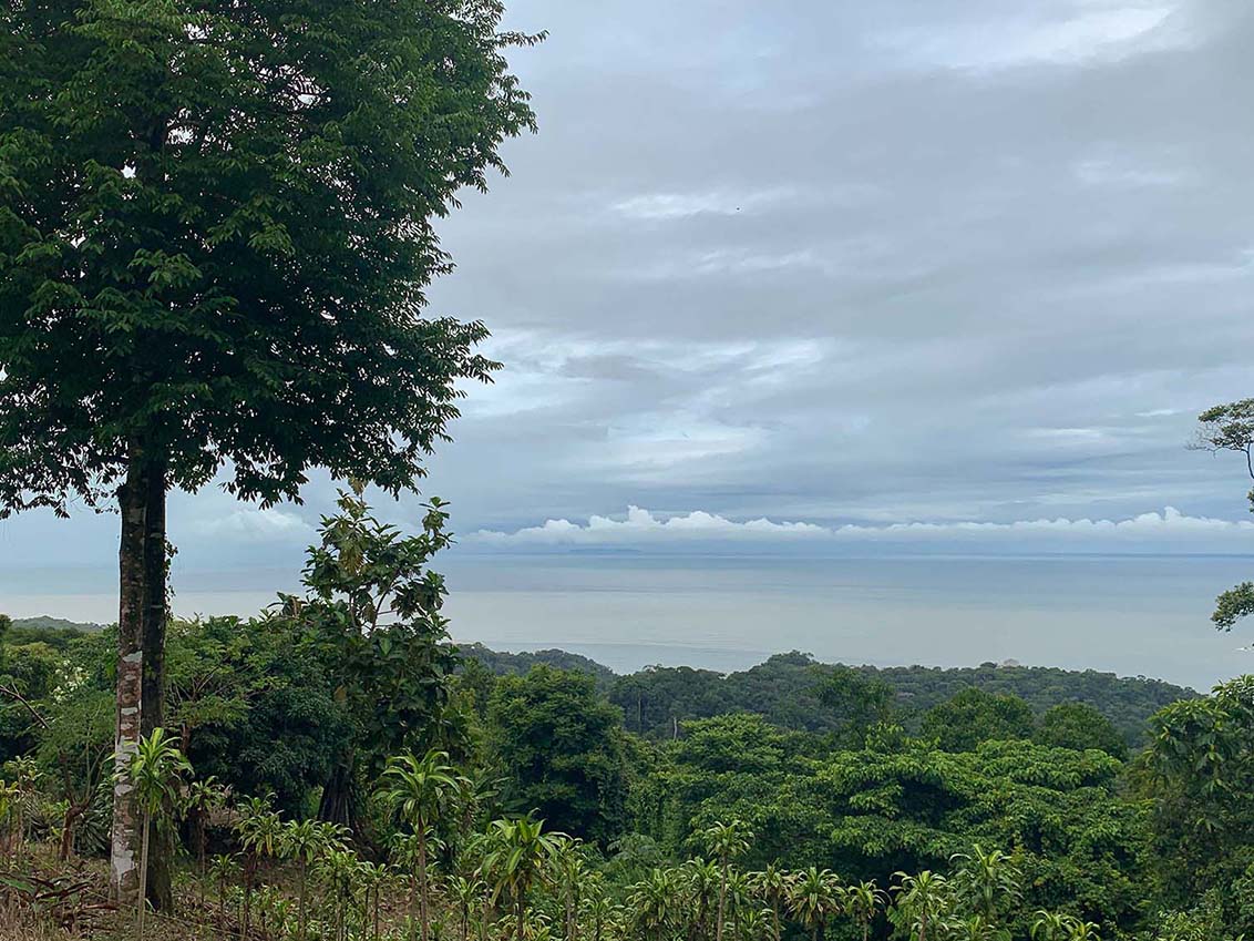 0 bed Land For Sale in Ojochal, Puntarenas - thumb 13
