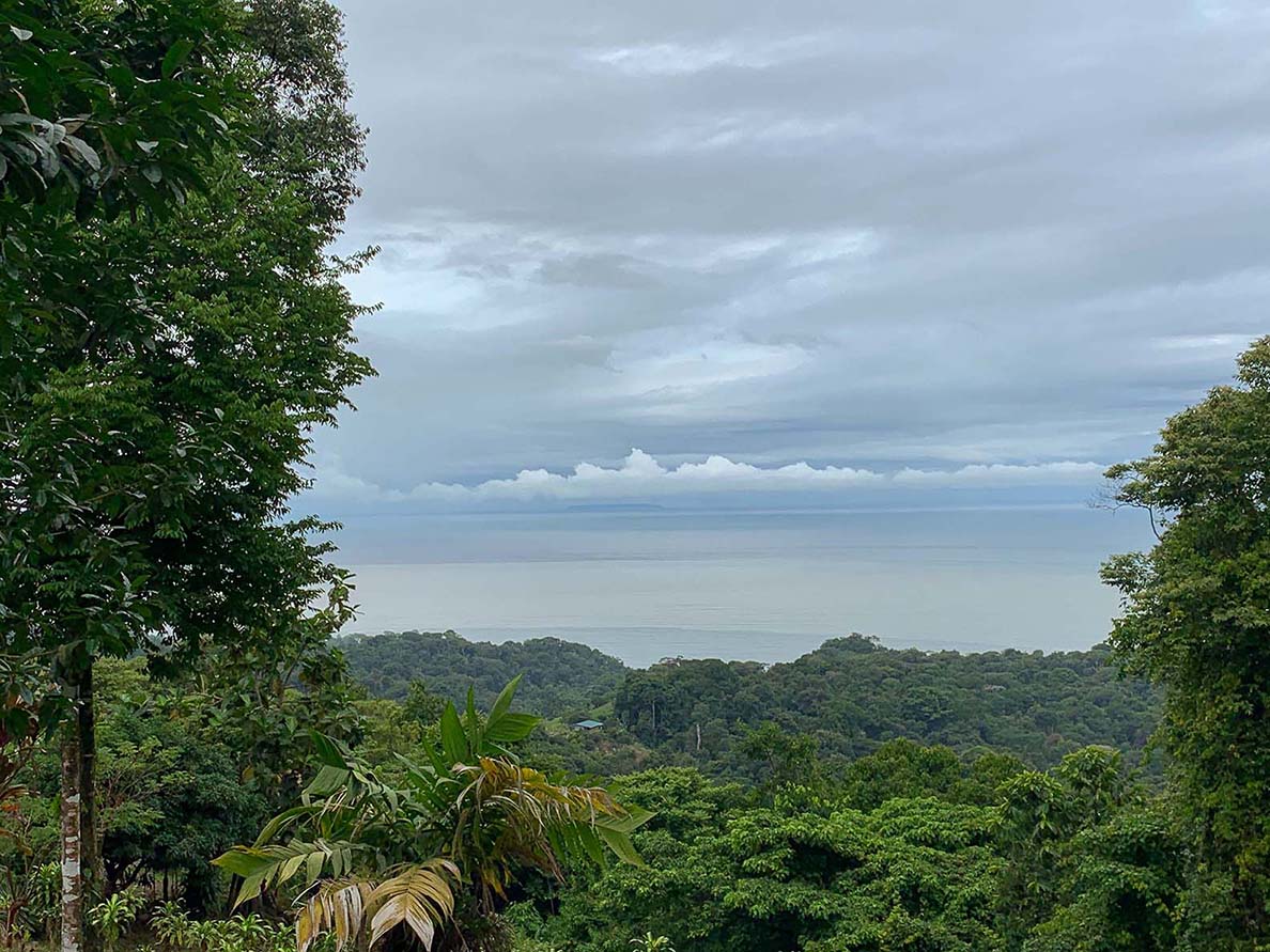 0 bed Land For Sale in Ojochal, Puntarenas - thumb 14