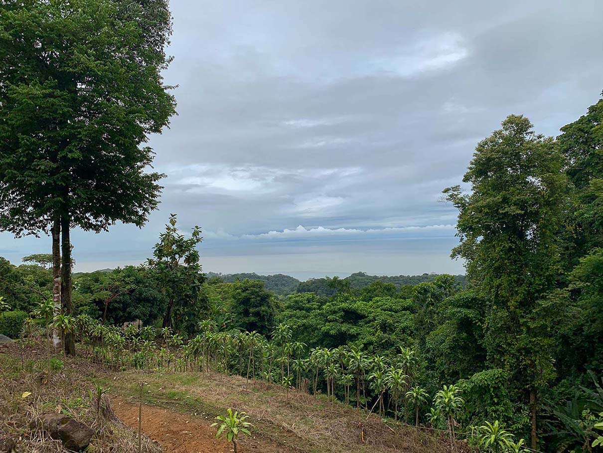 0 bed Land For Sale in Ojochal, Puntarenas - thumb 3