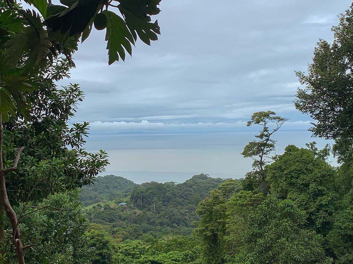 0 bed Land For Sale in Ojochal, Puntarenas - thumb 6
