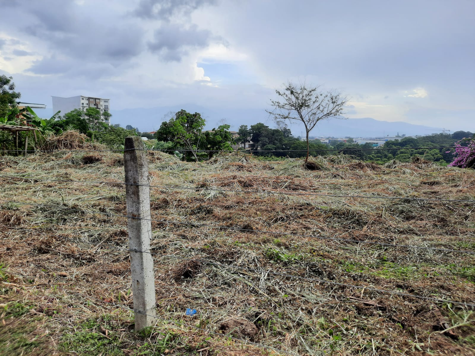 0 bed Land For Sale in Curridabat, San Jose - thumb 8