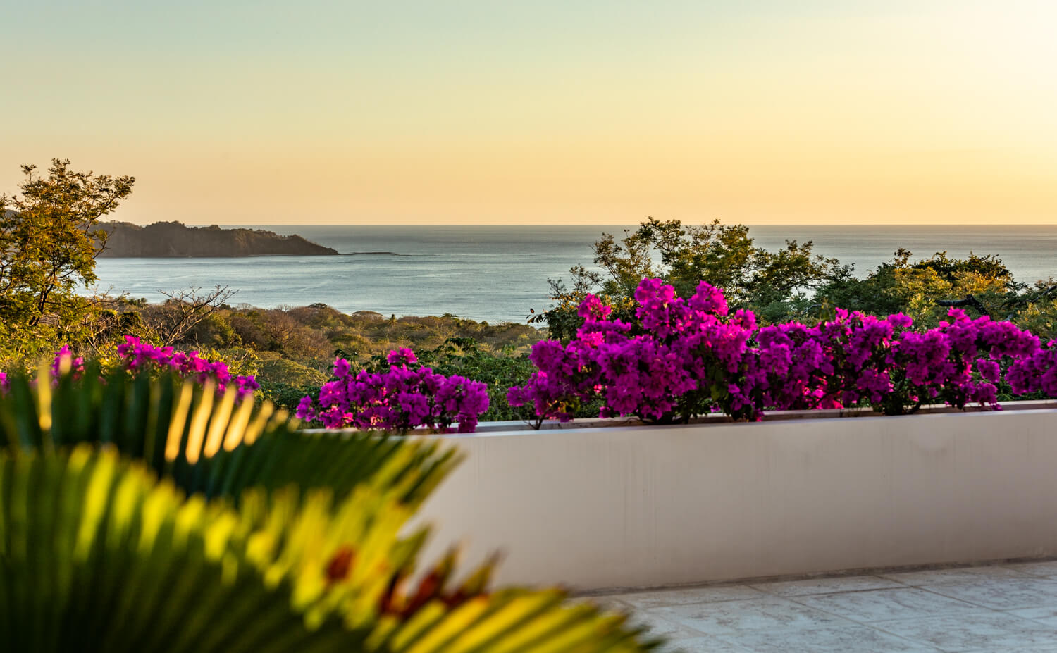 5 bed Single Family Homes For Rent in Nosara, Guanacaste - thumb 30