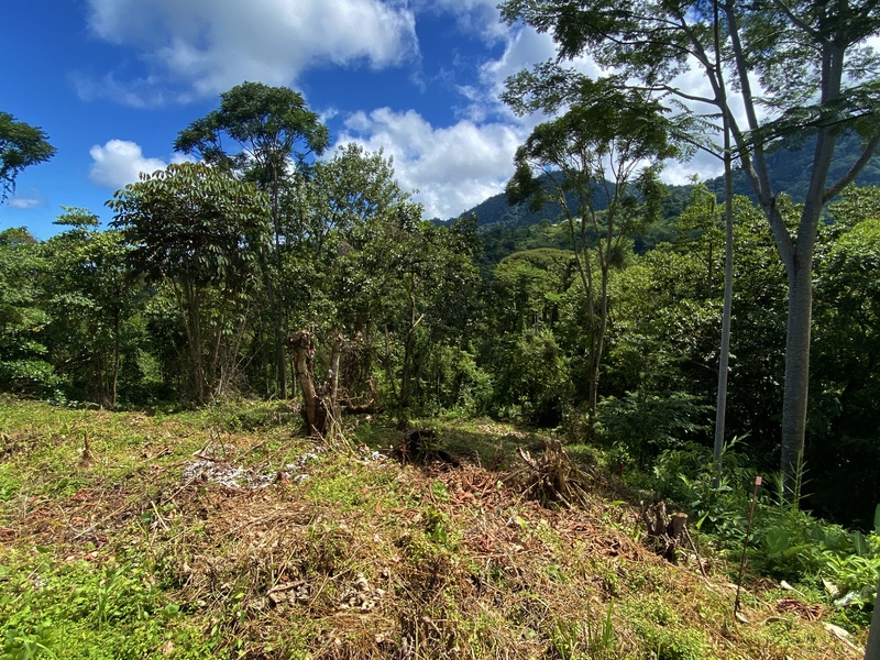 0 bed Land For Sale in Uvita, Puntarenas - 1