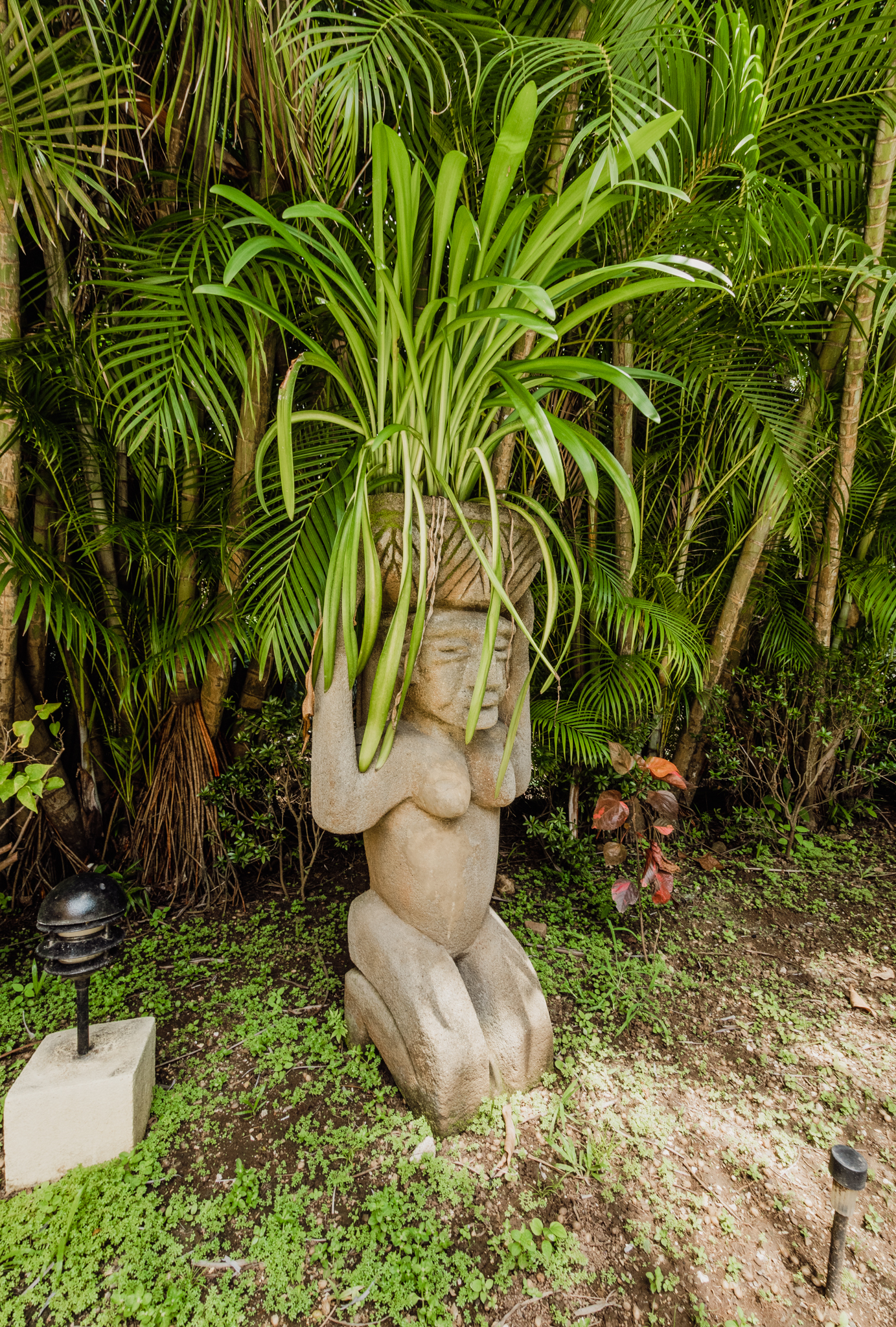 4 bed Single Family Homes For Rent in Nosara, Guanacaste - thumb 20