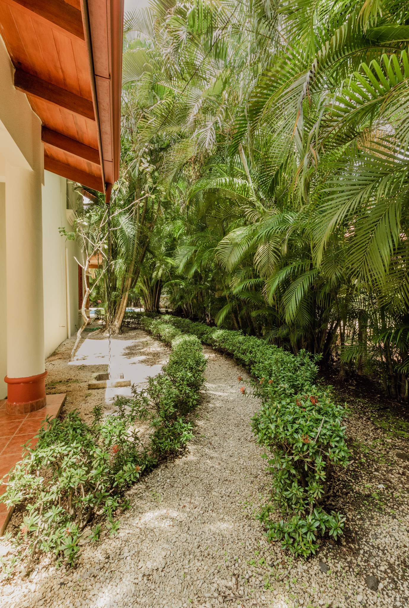 4 bed Single Family Homes For Rent in Nosara, Guanacaste - thumb 19